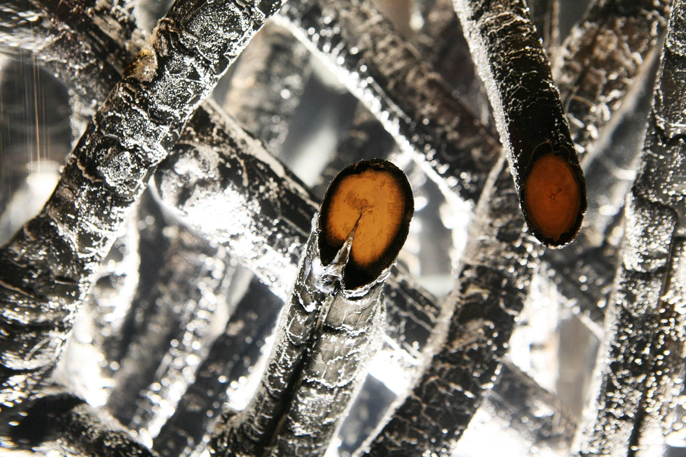 italien Table d'appoint Burnt Branches en verre acrylique et bois brûlé en vente