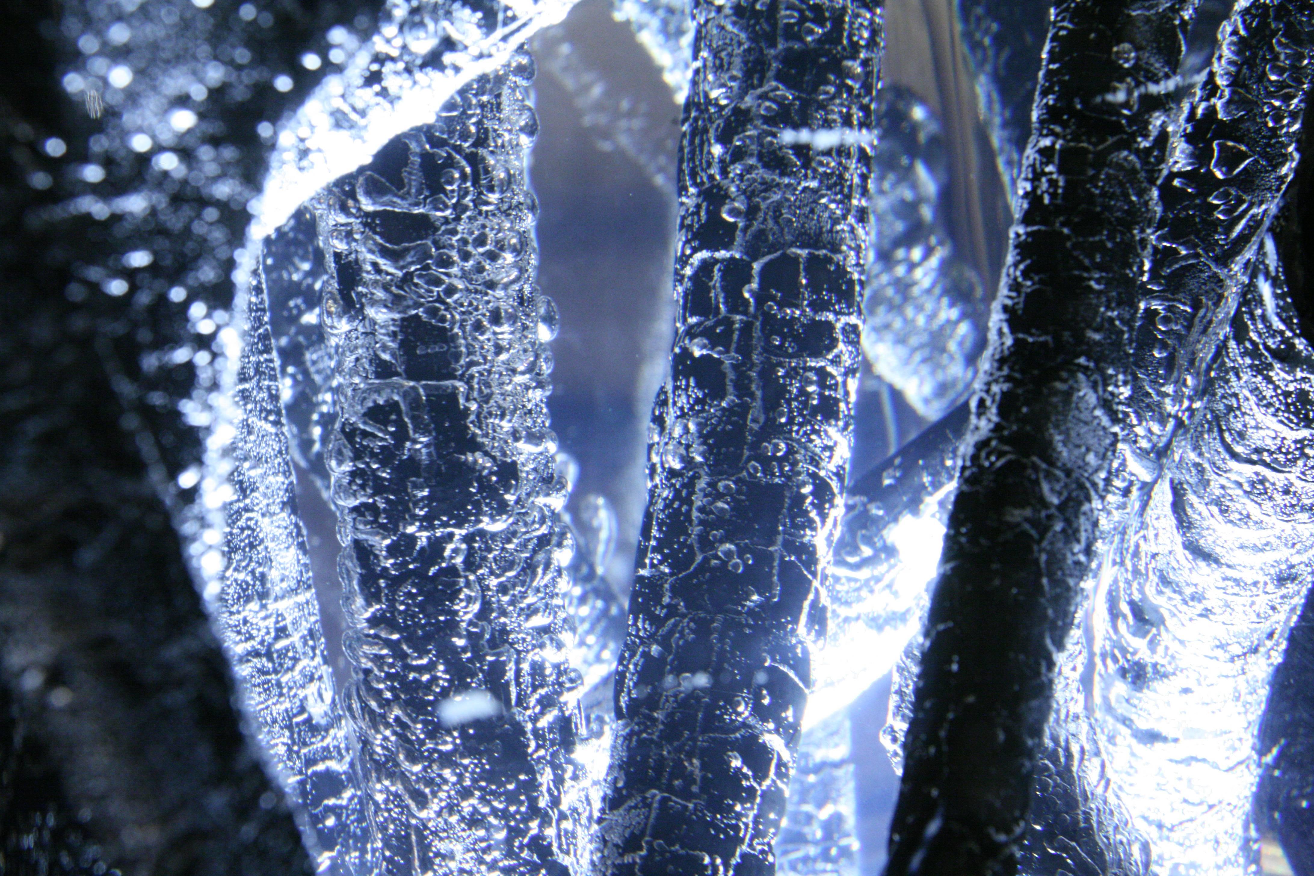 Table d'appoint Burnt Branches en verre acrylique et bois brûlé Neuf - En vente à Paris, FR
