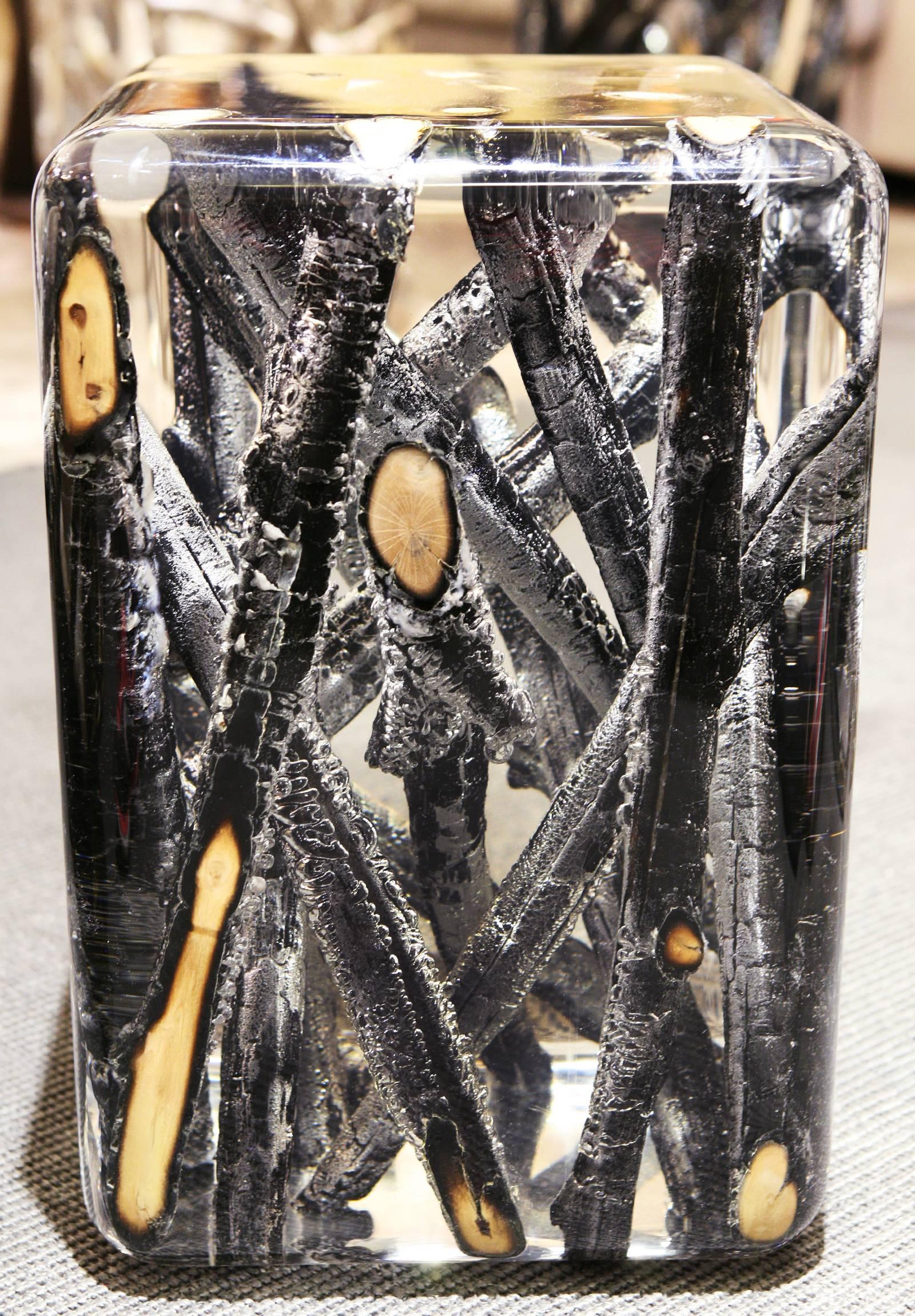 Table d'appoint Burnt Branches en verre acrylique et bois brûlé en vente 1