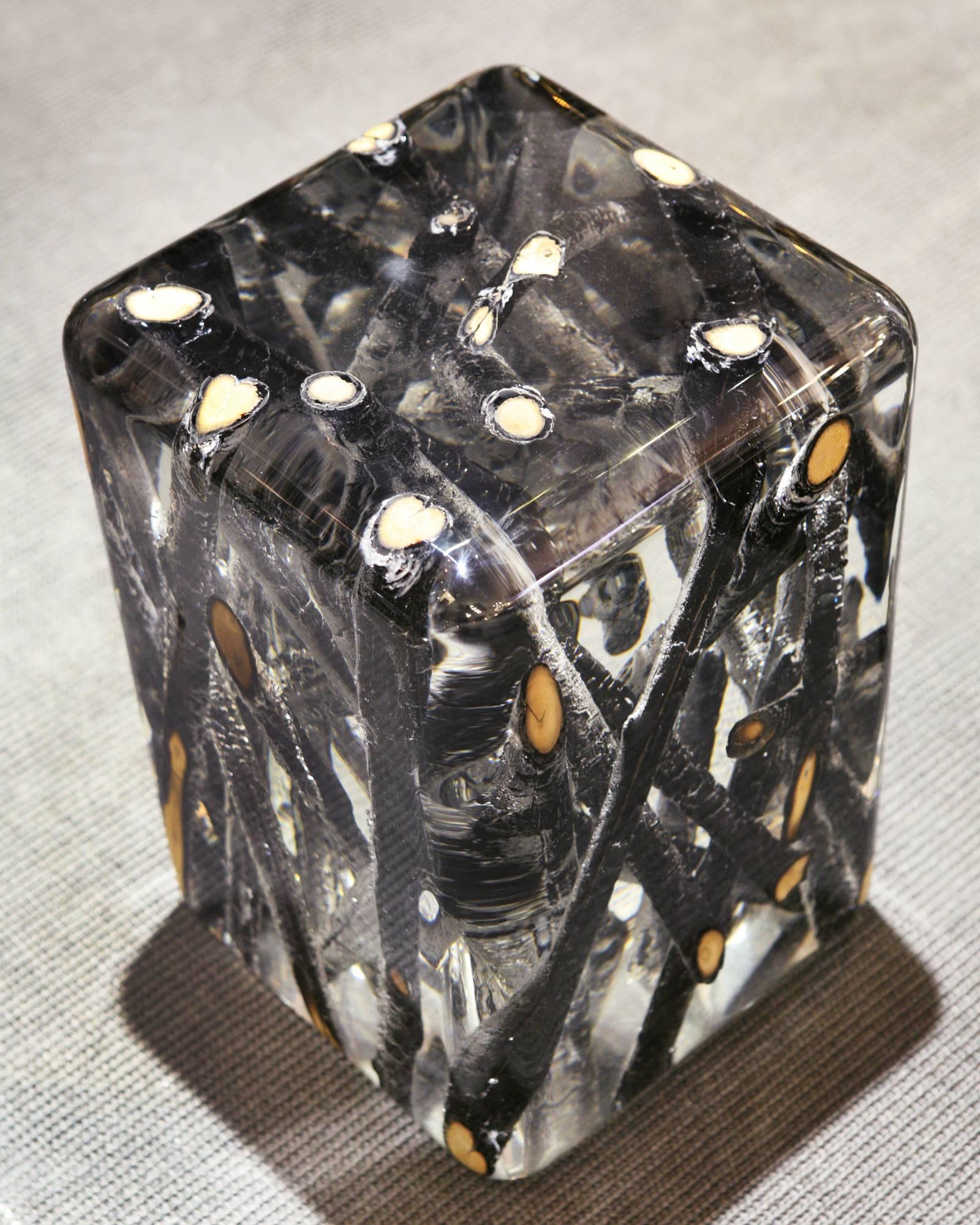 Table d'appoint Burnt Branches en verre acrylique et bois brûlé en vente 2