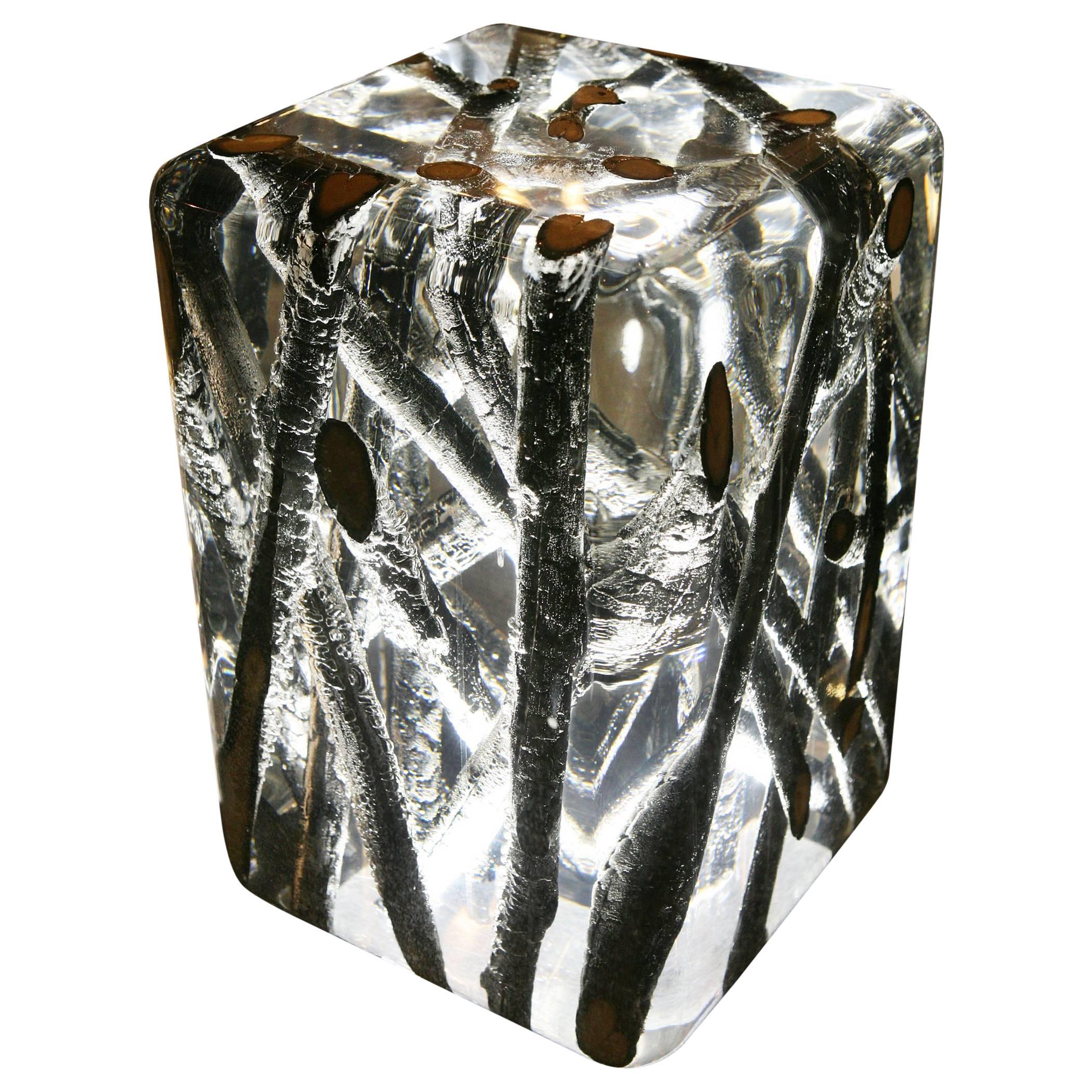 Burnt Branches Side Table in Acrylic Glass and Burnt wood