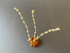 Burnt Orange Mid-Century Studio Ceramic Flower Frog, Sweden ca. 1965