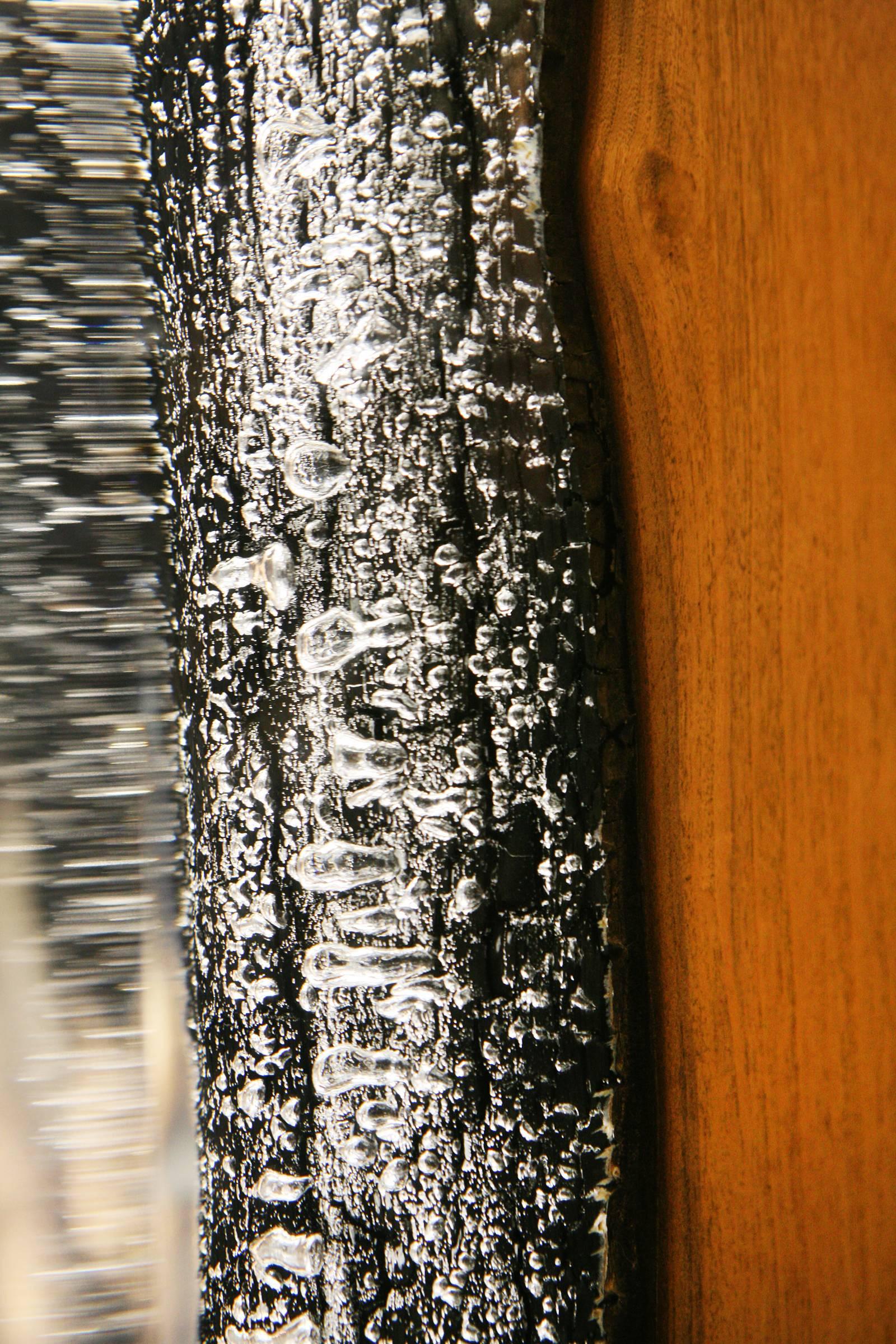 Gebrannter Truhen-Beistelltisch mit Acrylglas und gebranntem Massivholz im Angebot 3