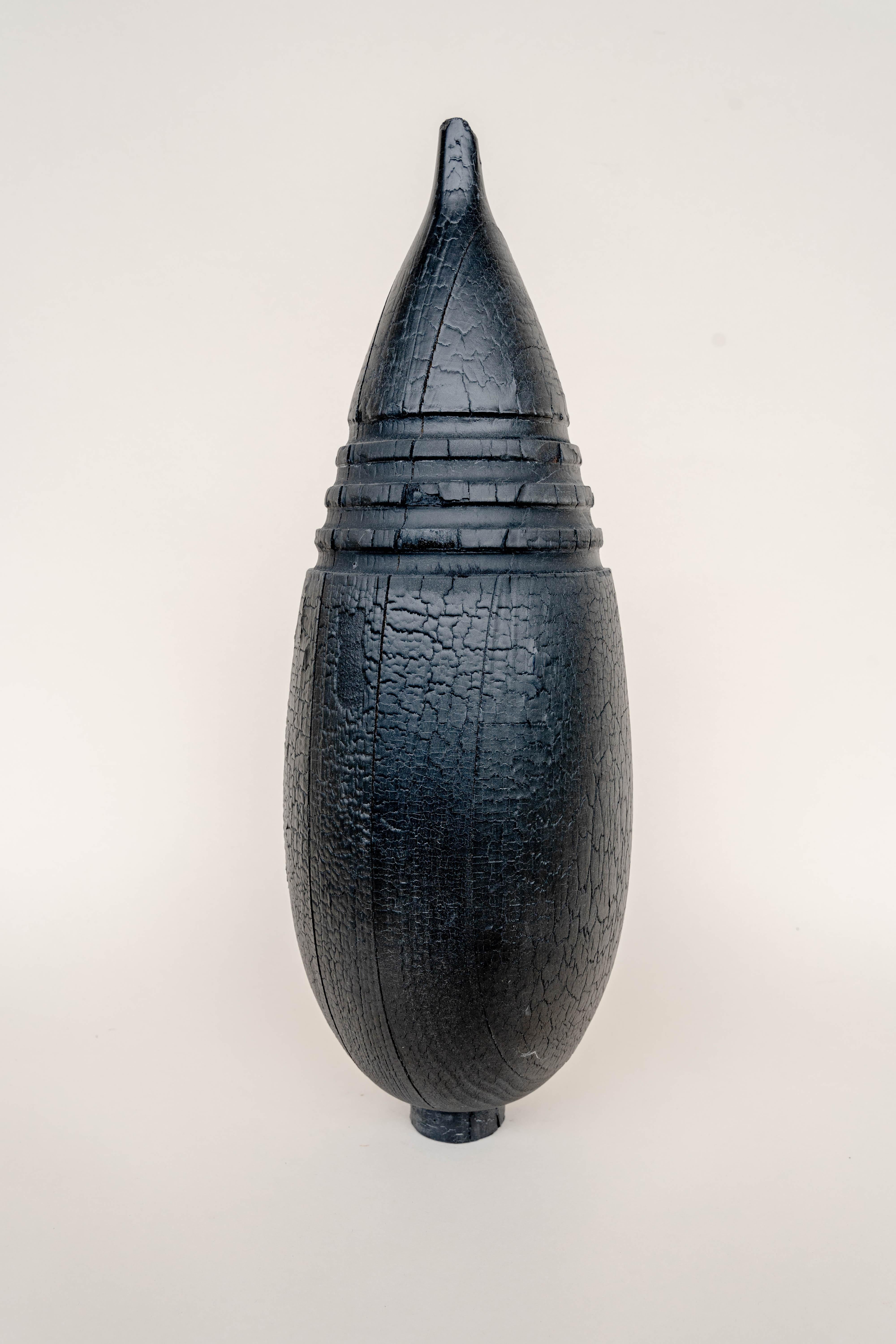 Vaso bruciato XL di Daniel Elkayam
Unico nel suo genere
Dimensioni: D. 17 x L. 17 x H. 50 cm 
Materiali: Legno di faggio bruciato


Art-designer e fotografo nato a Gerusalemme e residente a Tel-Aviv. Opera nel campo dell'arredamento
