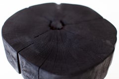 Burnt Wood Stump