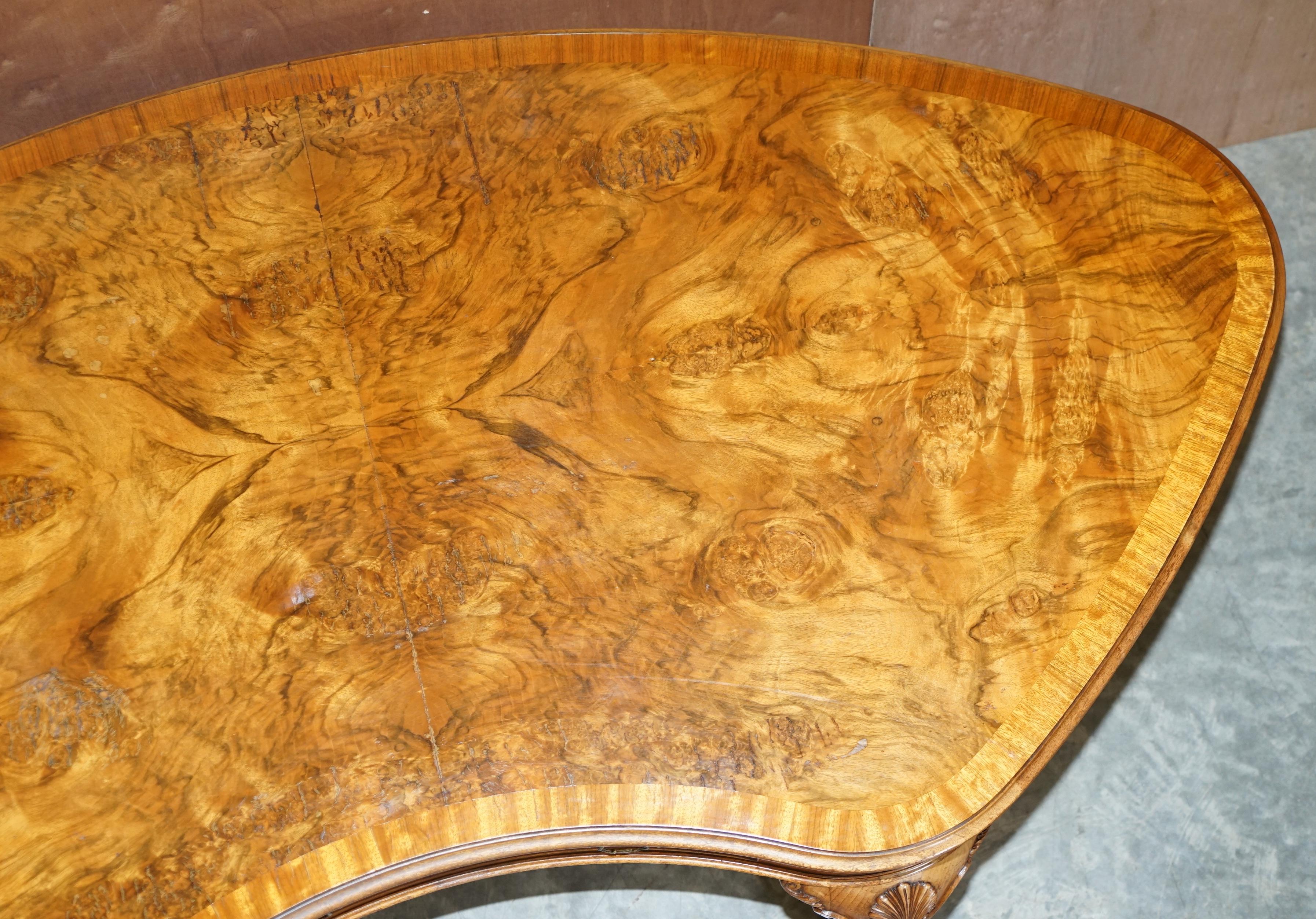 Burr Walnut Antique Victorian Lion Claw & Ball Feet Kidney Library Table Desk 7