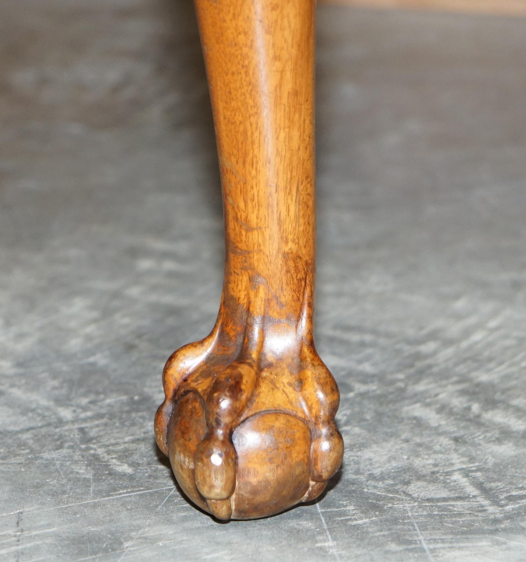 Burr Walnut Antique Victorian Lion Claw & Ball Feet Kidney Library Table Desk 1