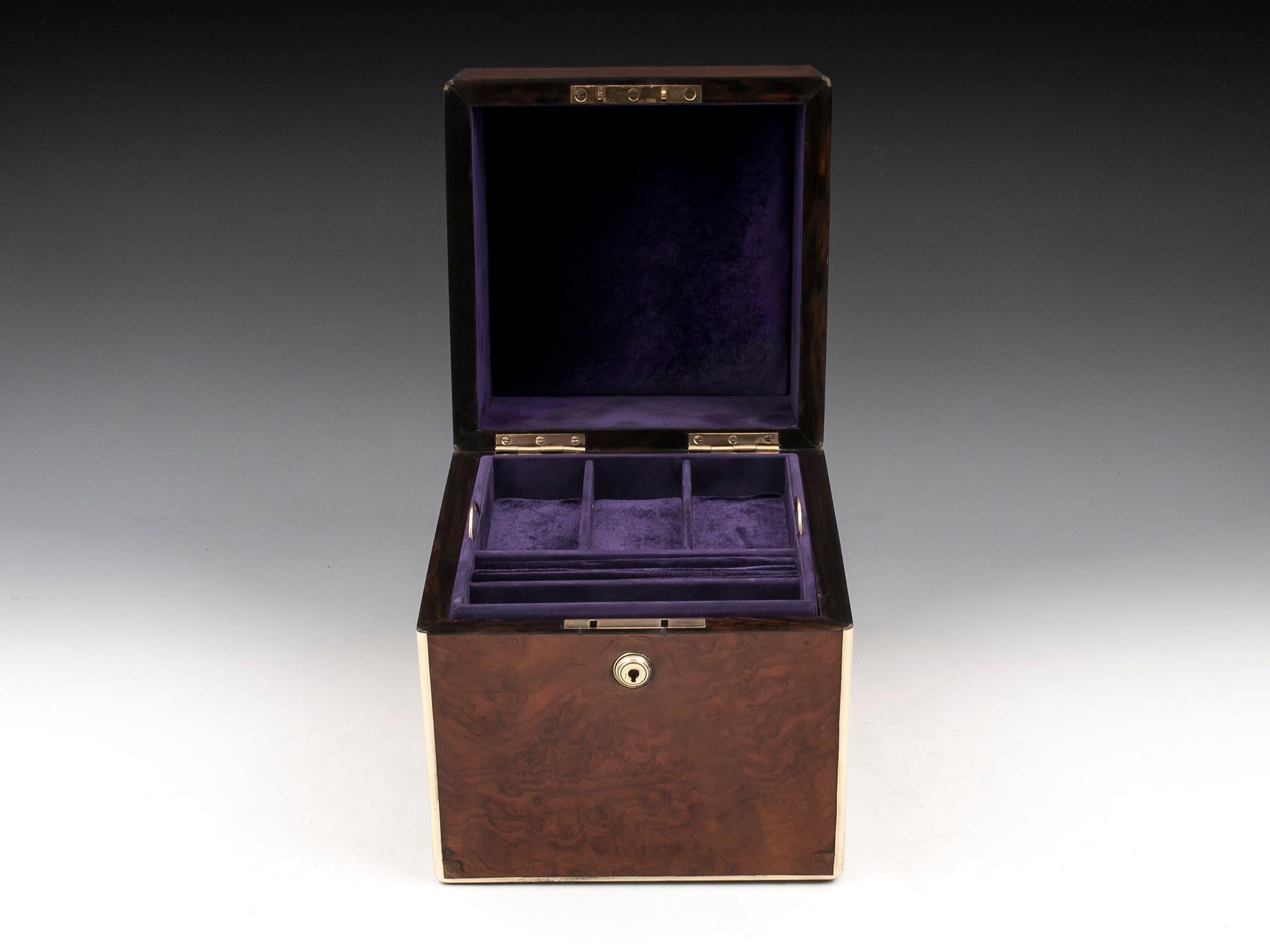 Burr Walnut Brass Jewelry Box, 19th Century For Sale 2