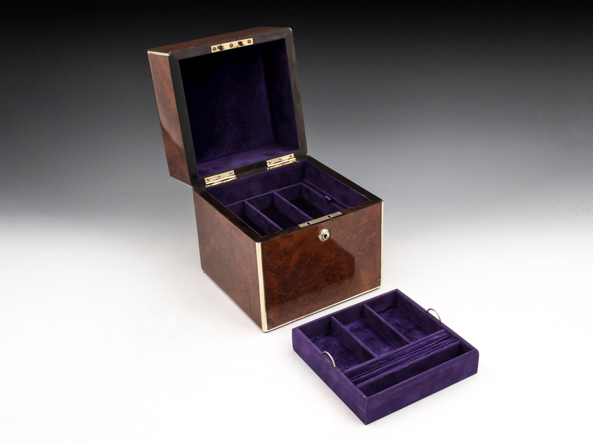 Burr Walnut Brass Jewelry Box, 19th Century For Sale 3