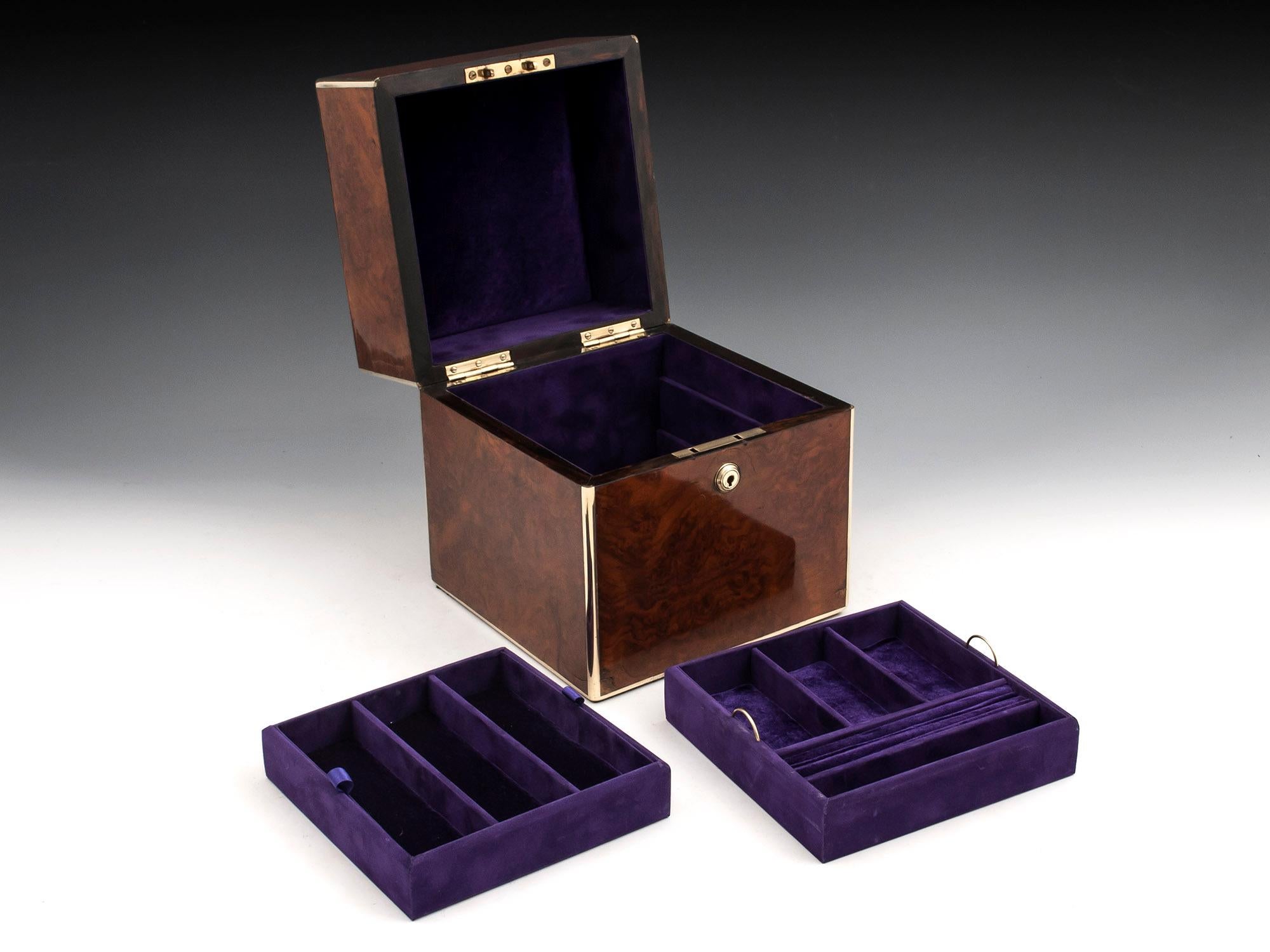 Burr Walnut Brass Jewelry Box, 19th Century For Sale 4