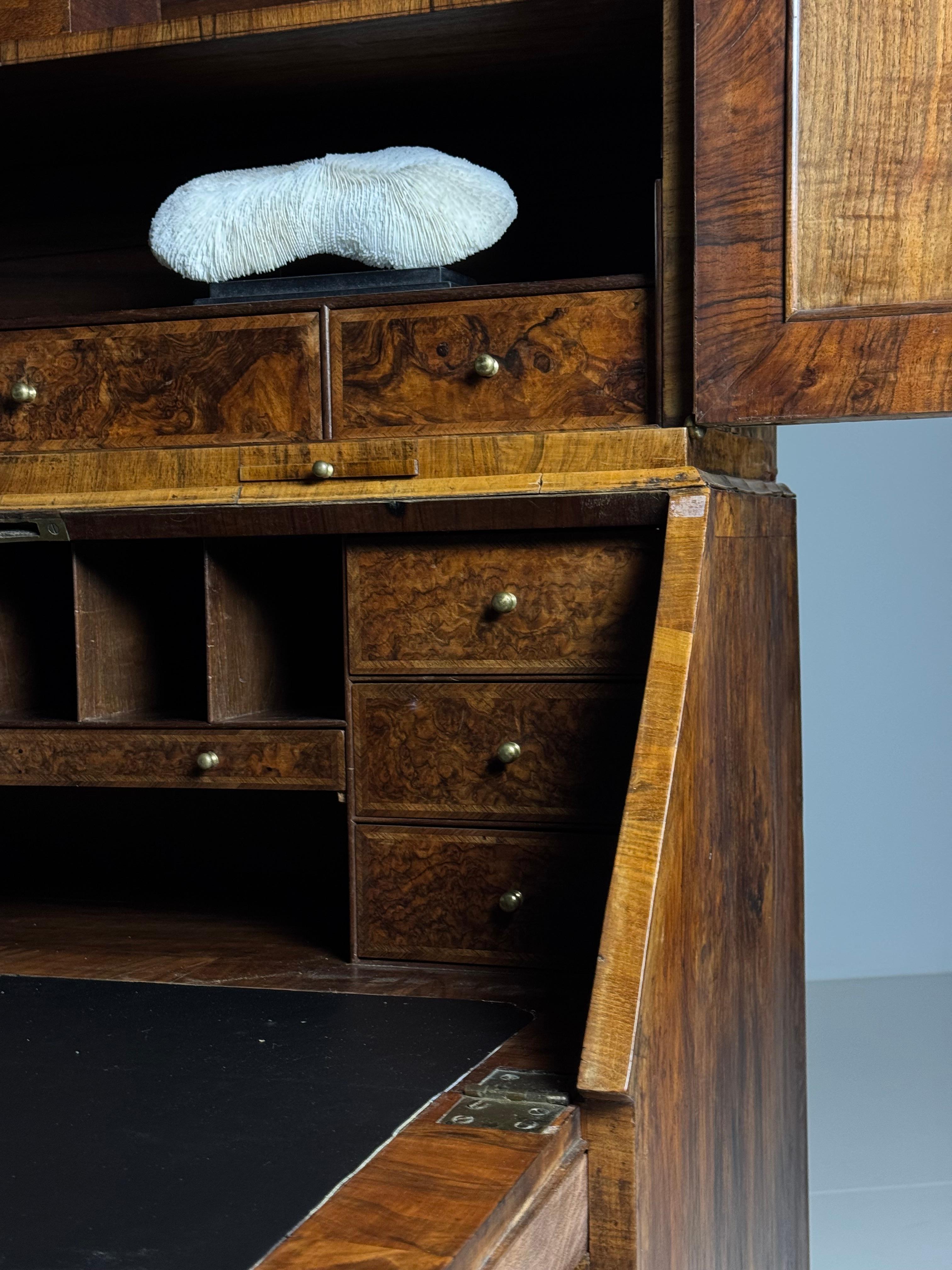 Libreria da tavolo in radica di noce, XIX secolo in vendita 8