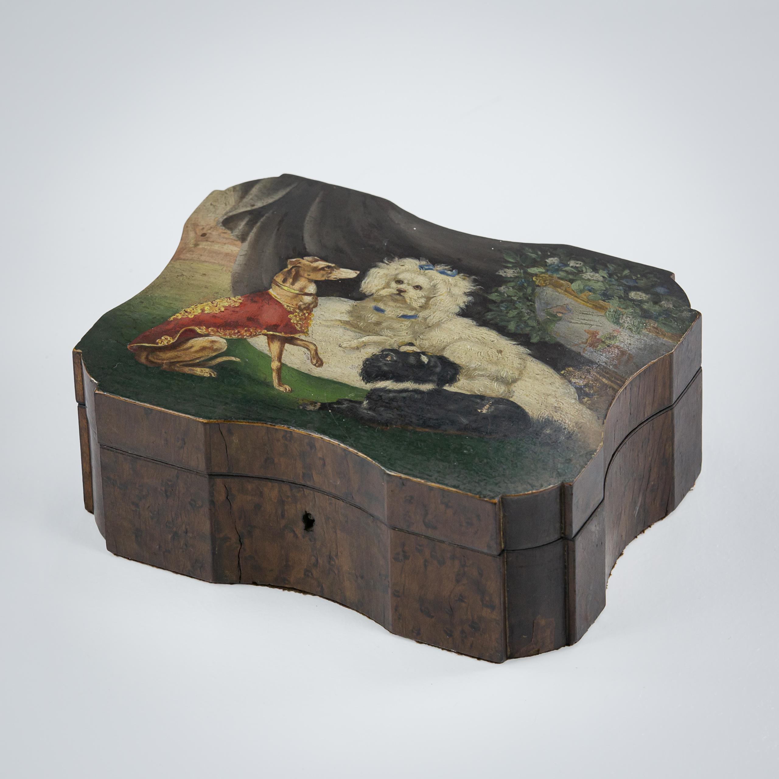 Schmuckkästchen aus Wurzelnussholz des 19. Jahrhunderts, bemerkenswert bemaltes Oberteil mit drei Hunden, von denen sich der stolzeste in ein Kissen schmiegt, umgeben von feiner Draperie und einer überquellenden Chinoiserie-Vase. Wahrscheinlich