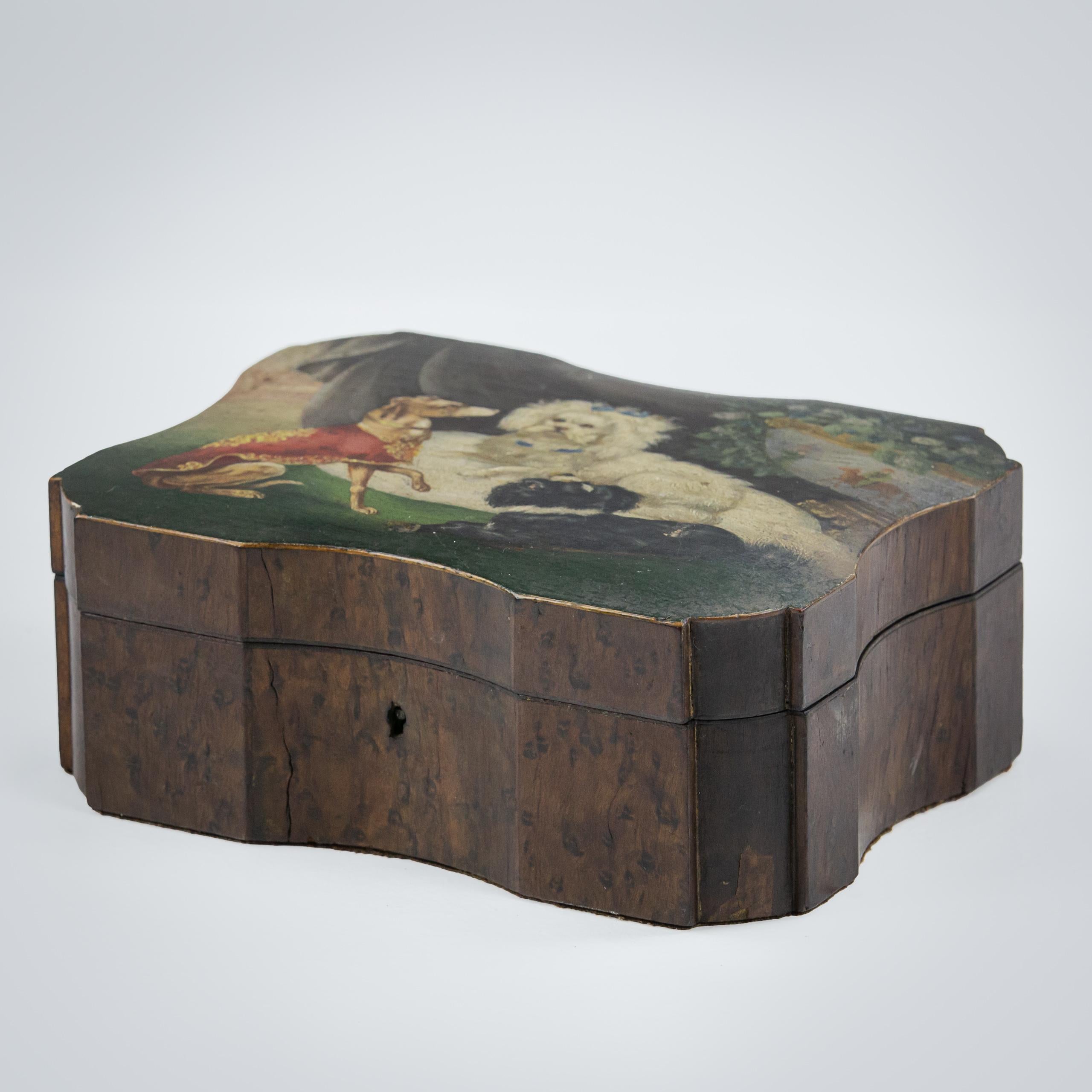 Keepsake Box aus Wurzelnussholz mit bemalten Hundeporträts aus Walnussholz (Französisch) im Angebot