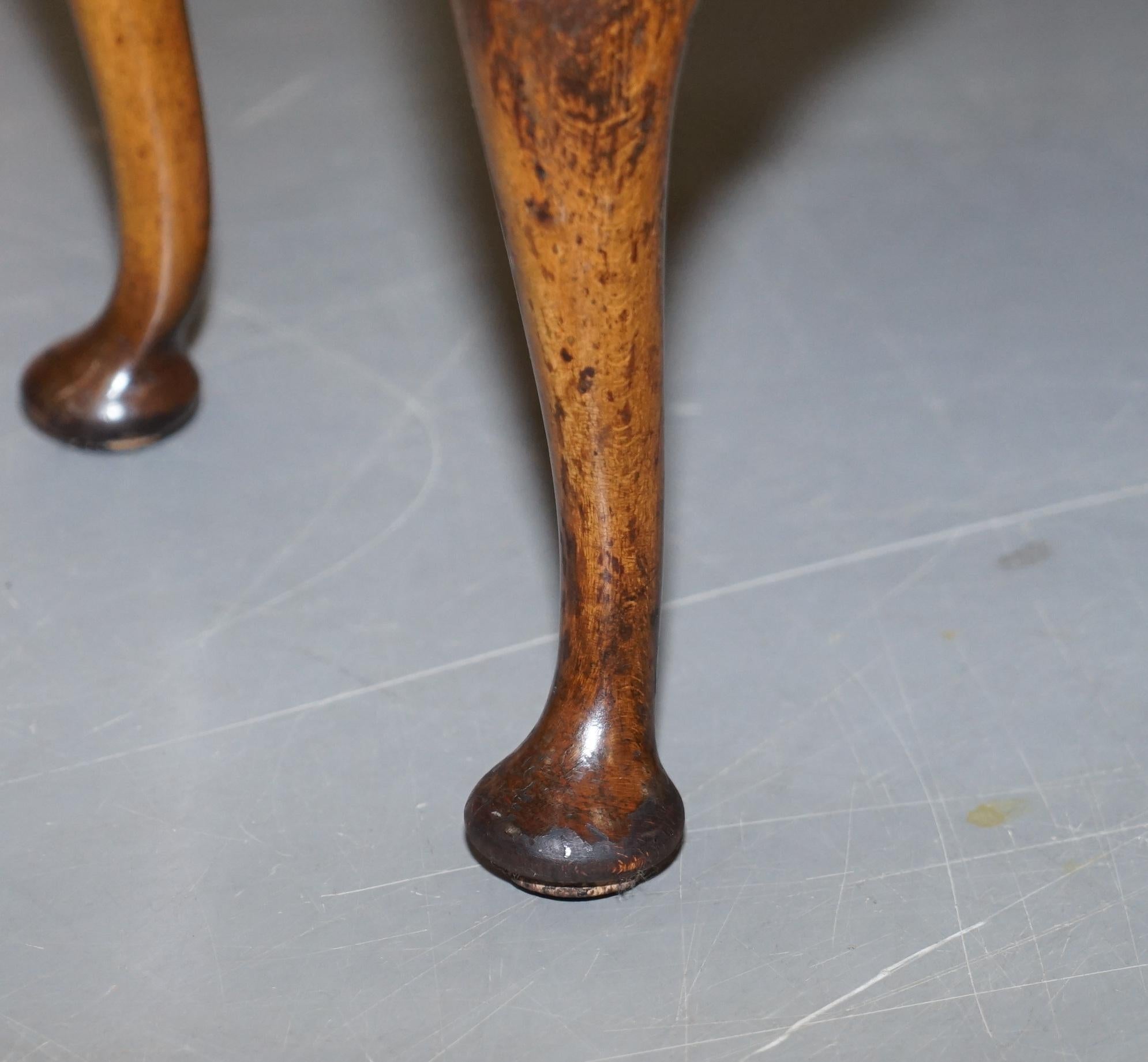 Burr Walnut Queen Anne Bedside Table Cabinet Elegant Carved Cabriolet Legs 1