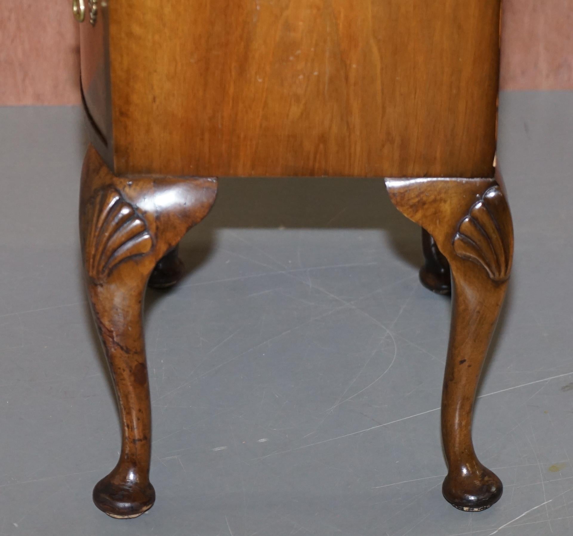 Burr Walnut Queen Anne Bedside Table Cabinet Elegant Carved Cabriolet Legs For Sale 7