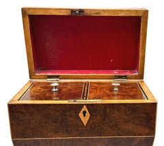 Burr Yew 19th Century Tea Caddy