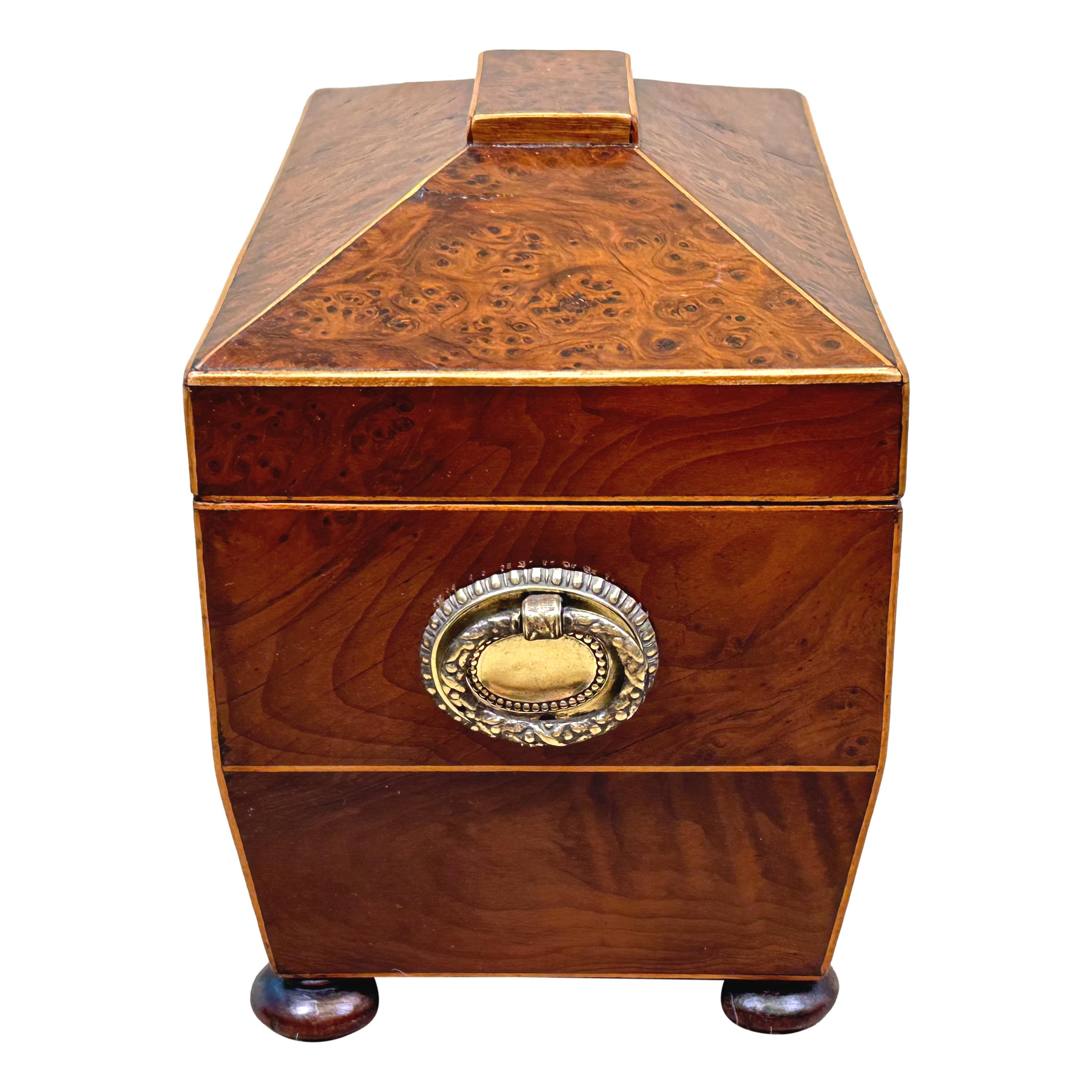 Regency Porta tè in radica del XIX secolo in vendita