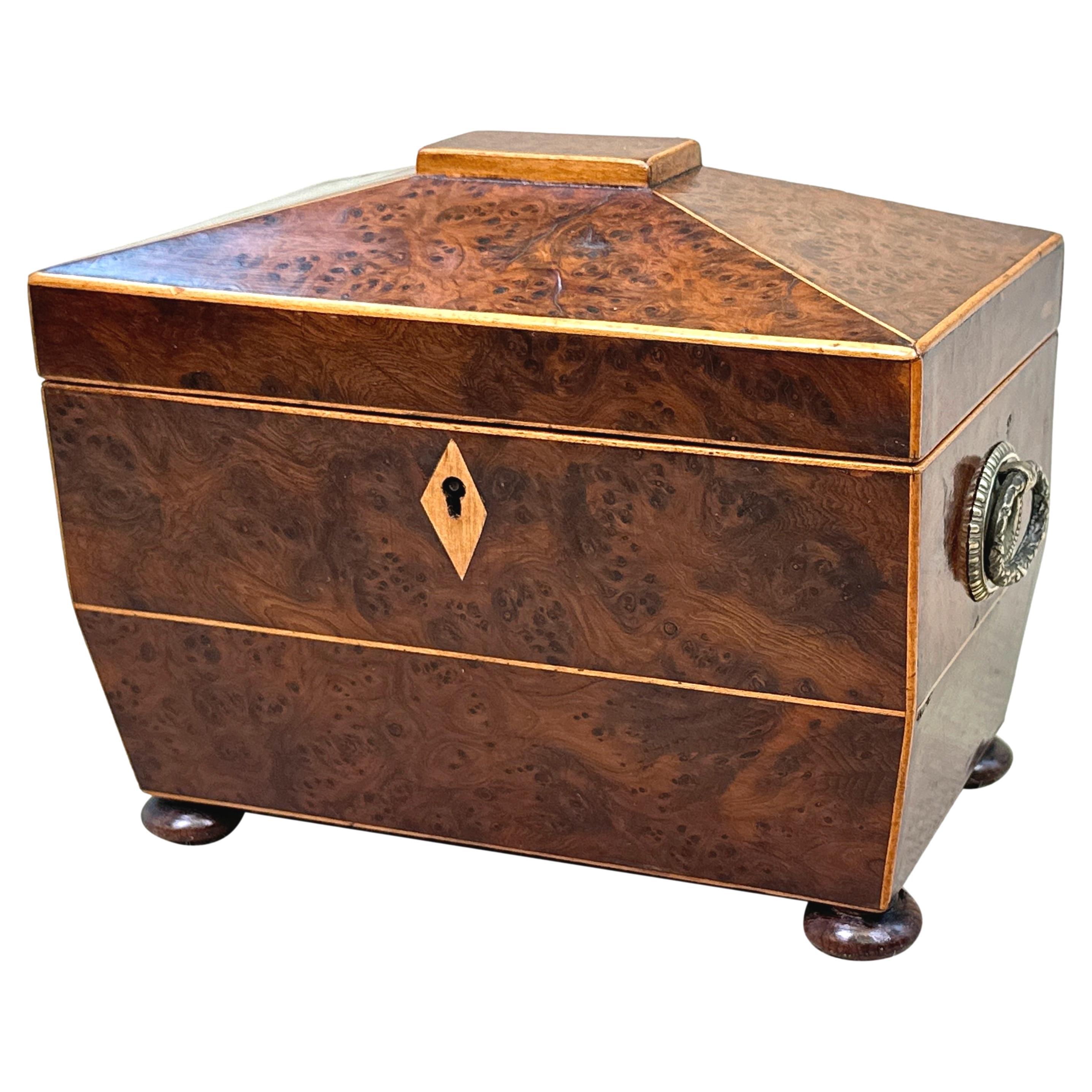 Caja de té de tejo del siglo XIX