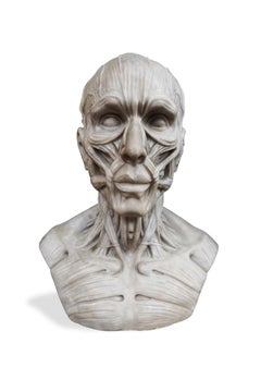 Bust Anatomical