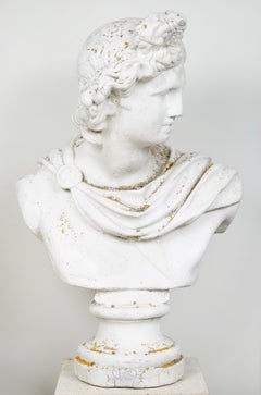 Bust, Apollo Belvedere