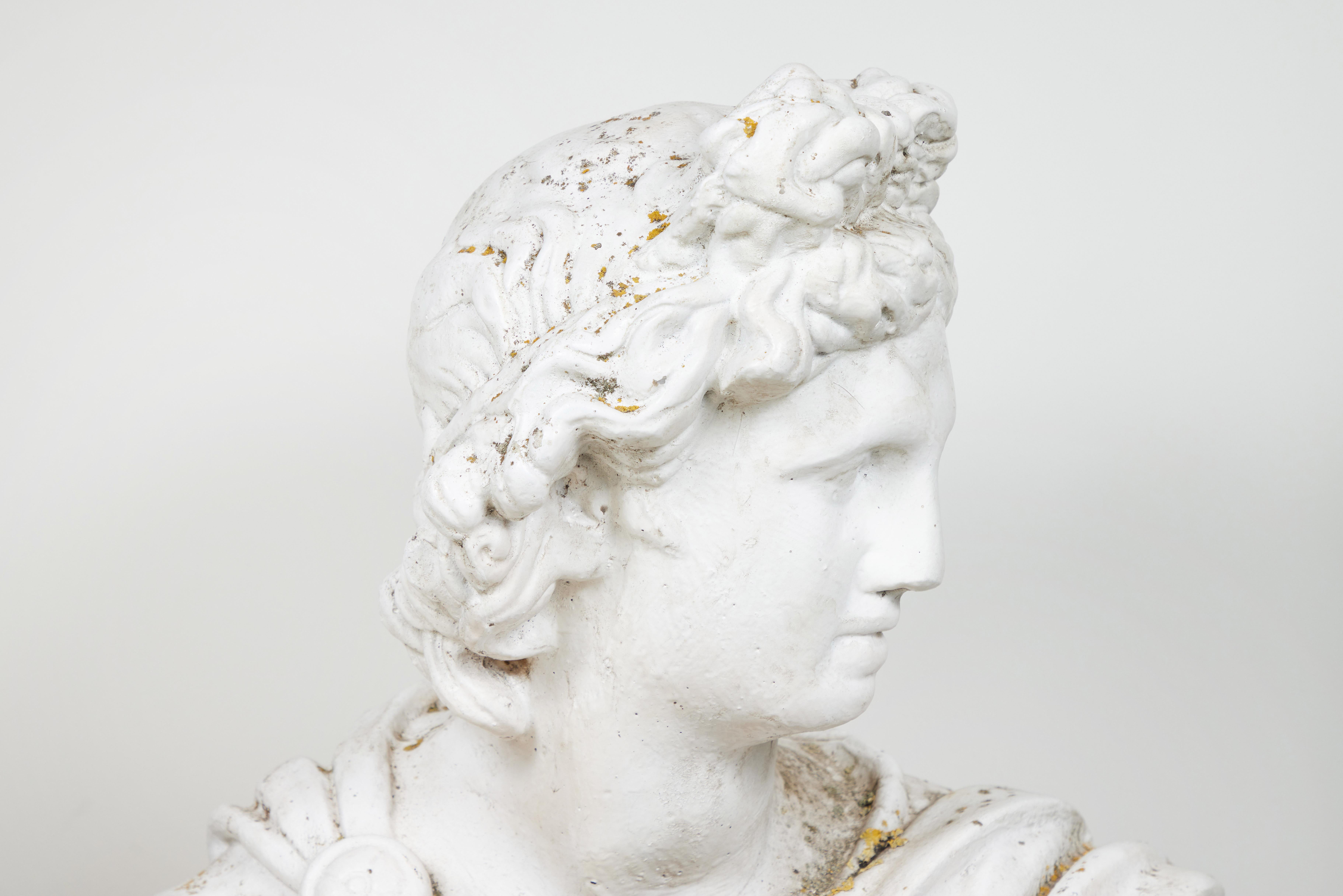 Italian Bust, Apollo Belvedere