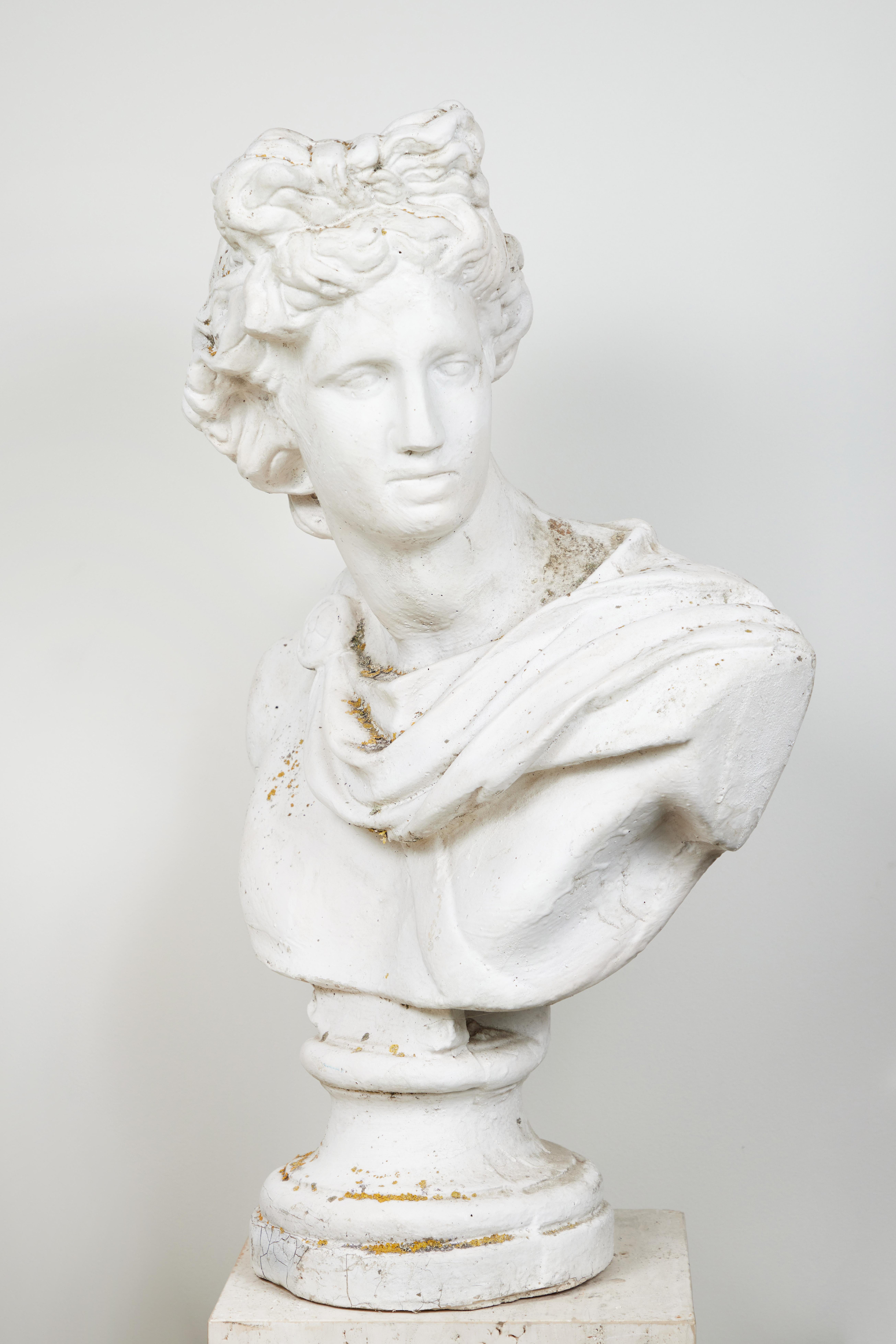 Late 20th Century Bust, Apollo Belvedere