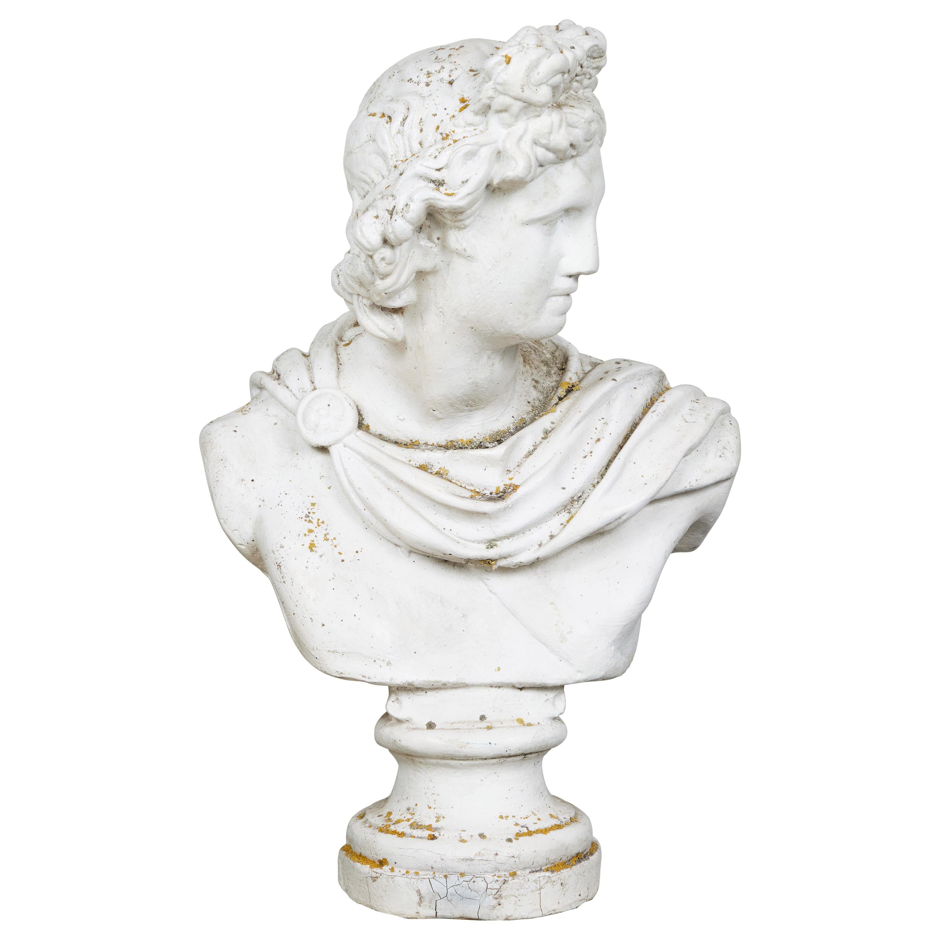 Bust, Apollo Belvedere