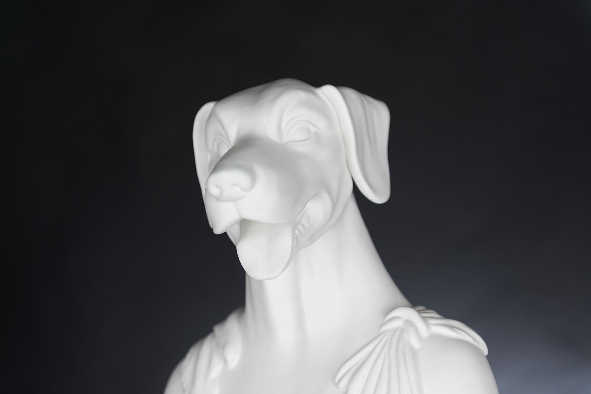 Italian Bust Argo, White, in Ceramic, Italy For Sale
