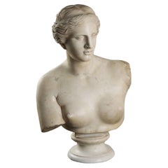 Bust in White Marble Copy of Venus De Milo, Italy, Mid-20th Century