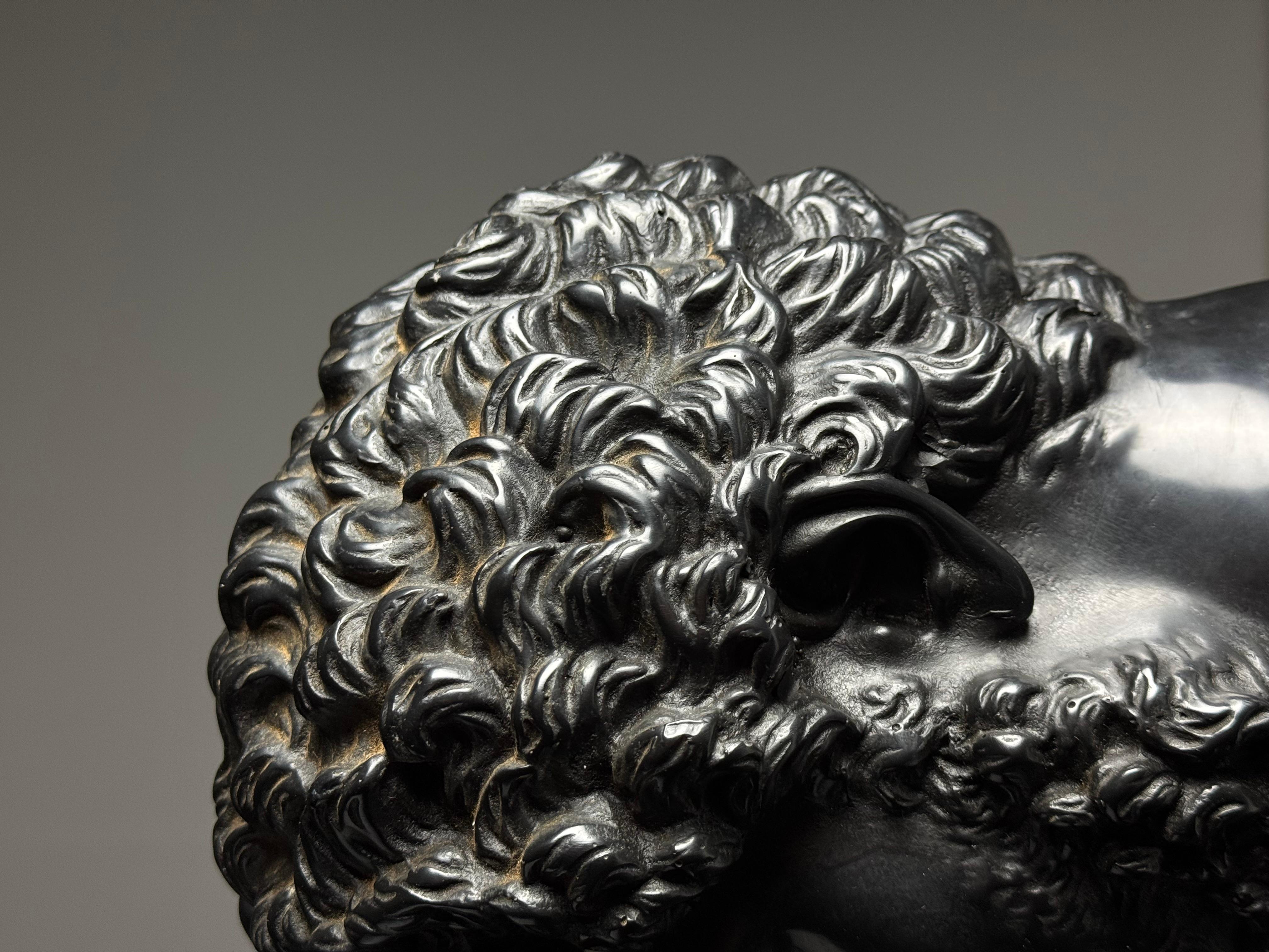 Busto Lucio Vero nero in vendita 5