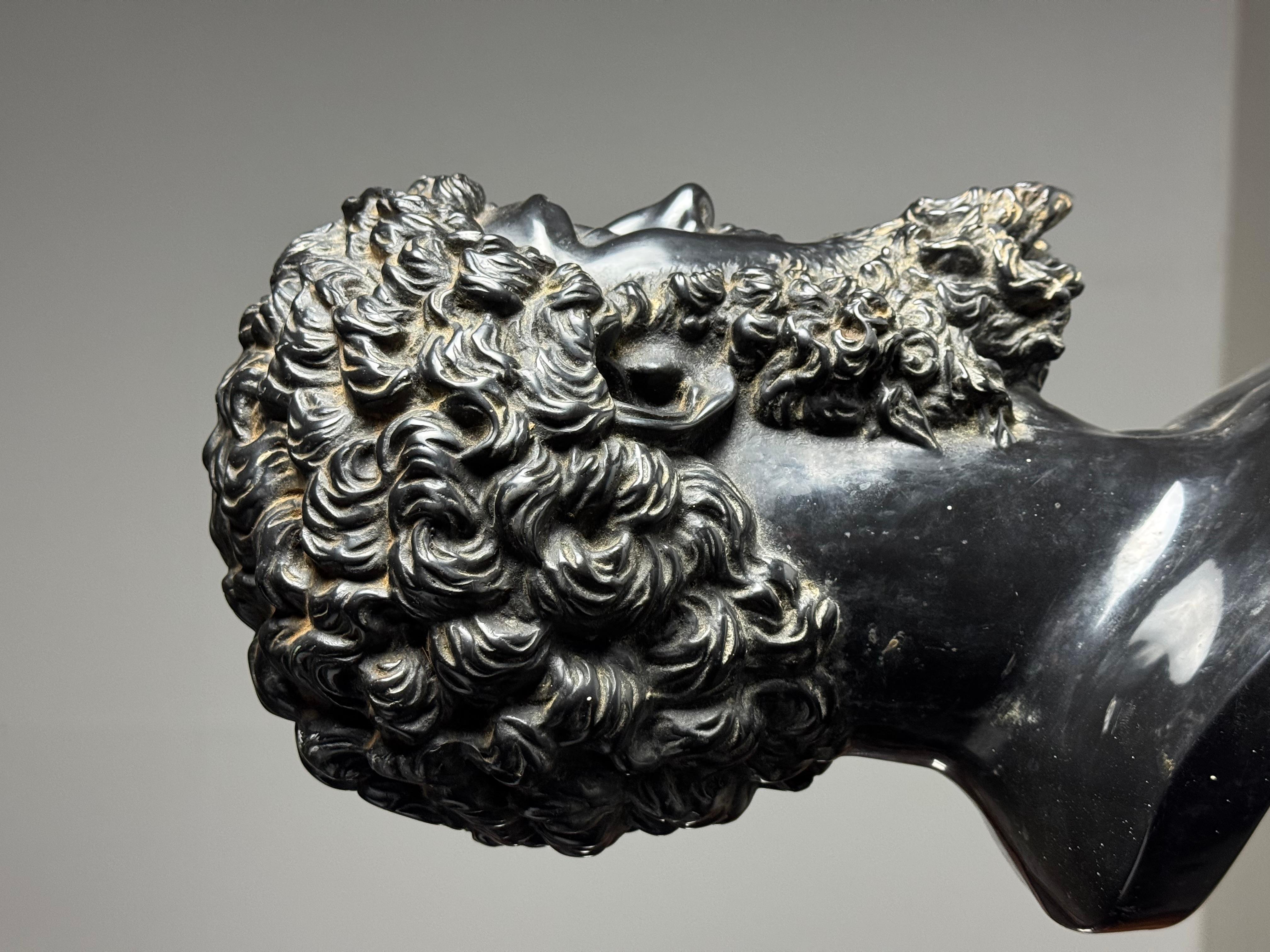Busto Lucio Vero nero in vendita 3