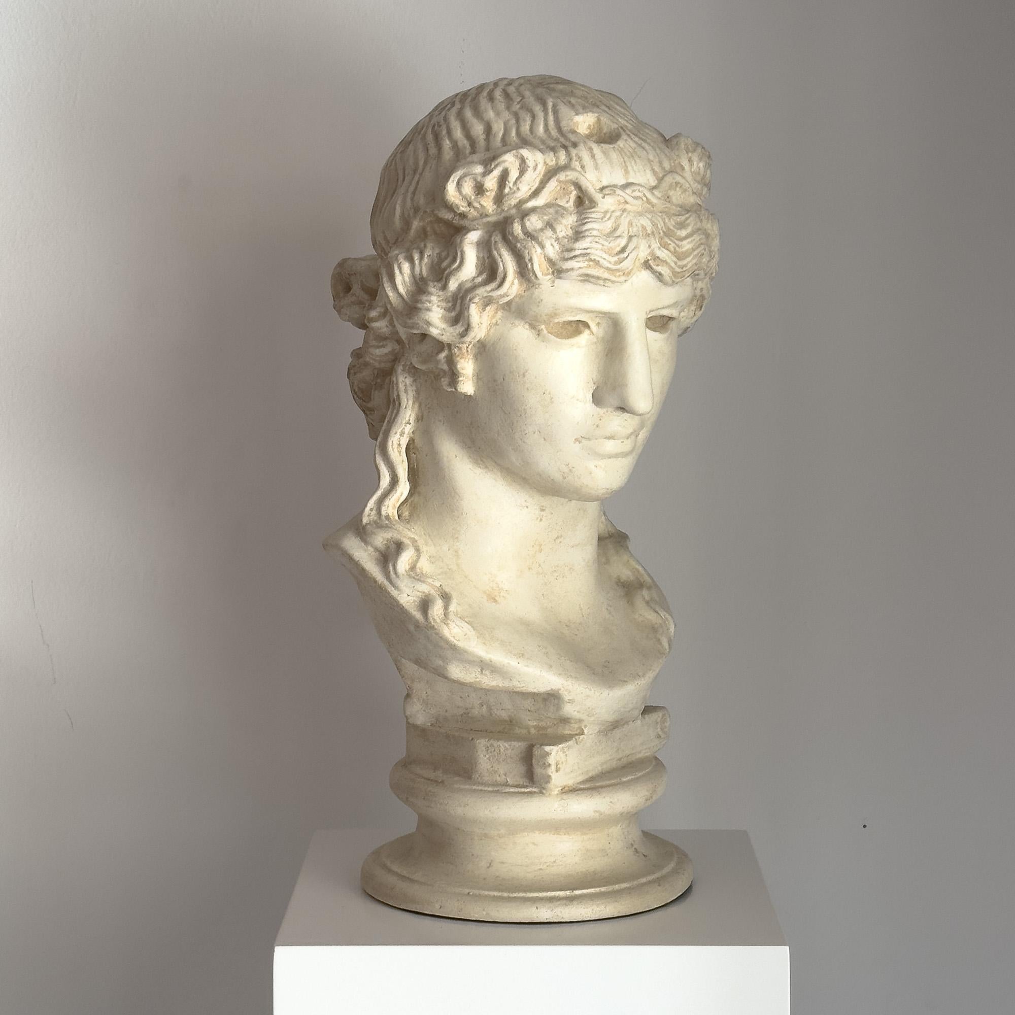 Classical Roman Bust of Antinoos in the style of classical Rome For Sale