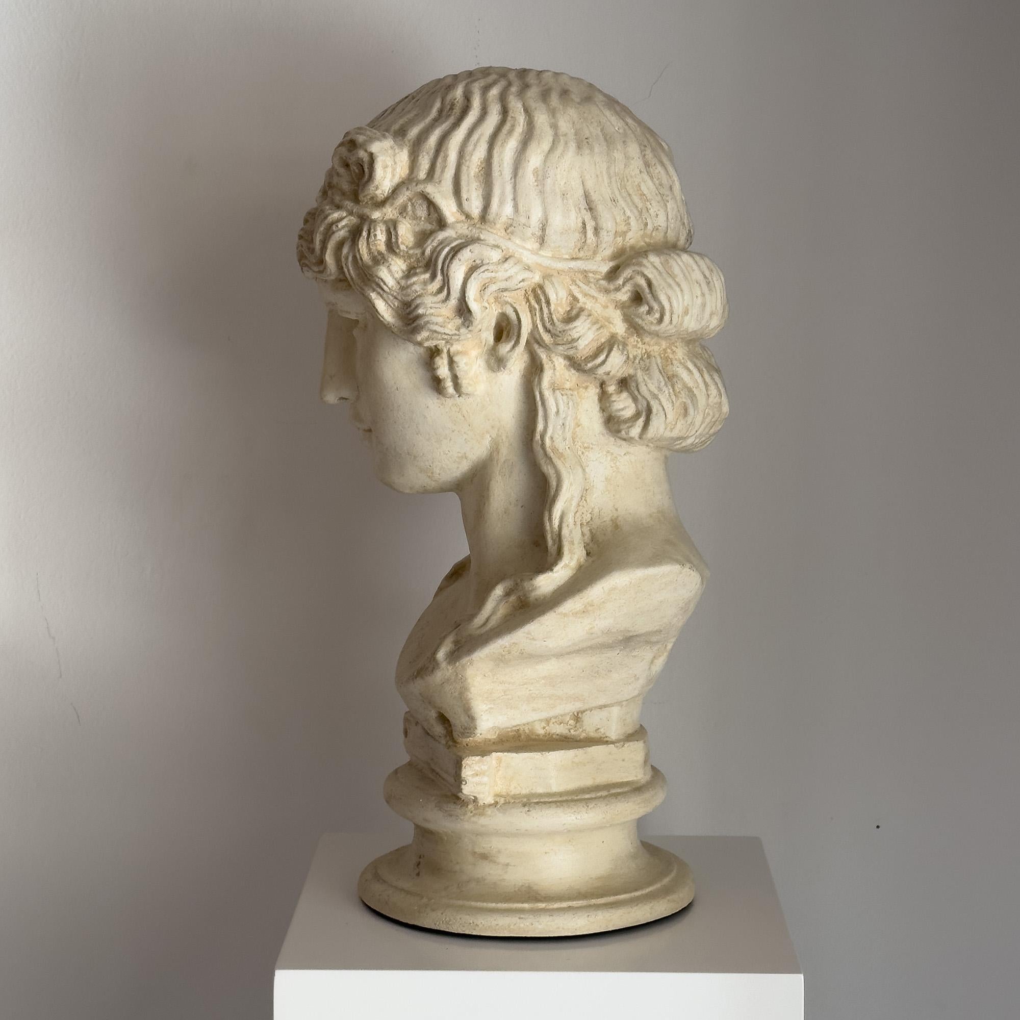 Patinated Bust of Antinoos in the style of classical Rome For Sale