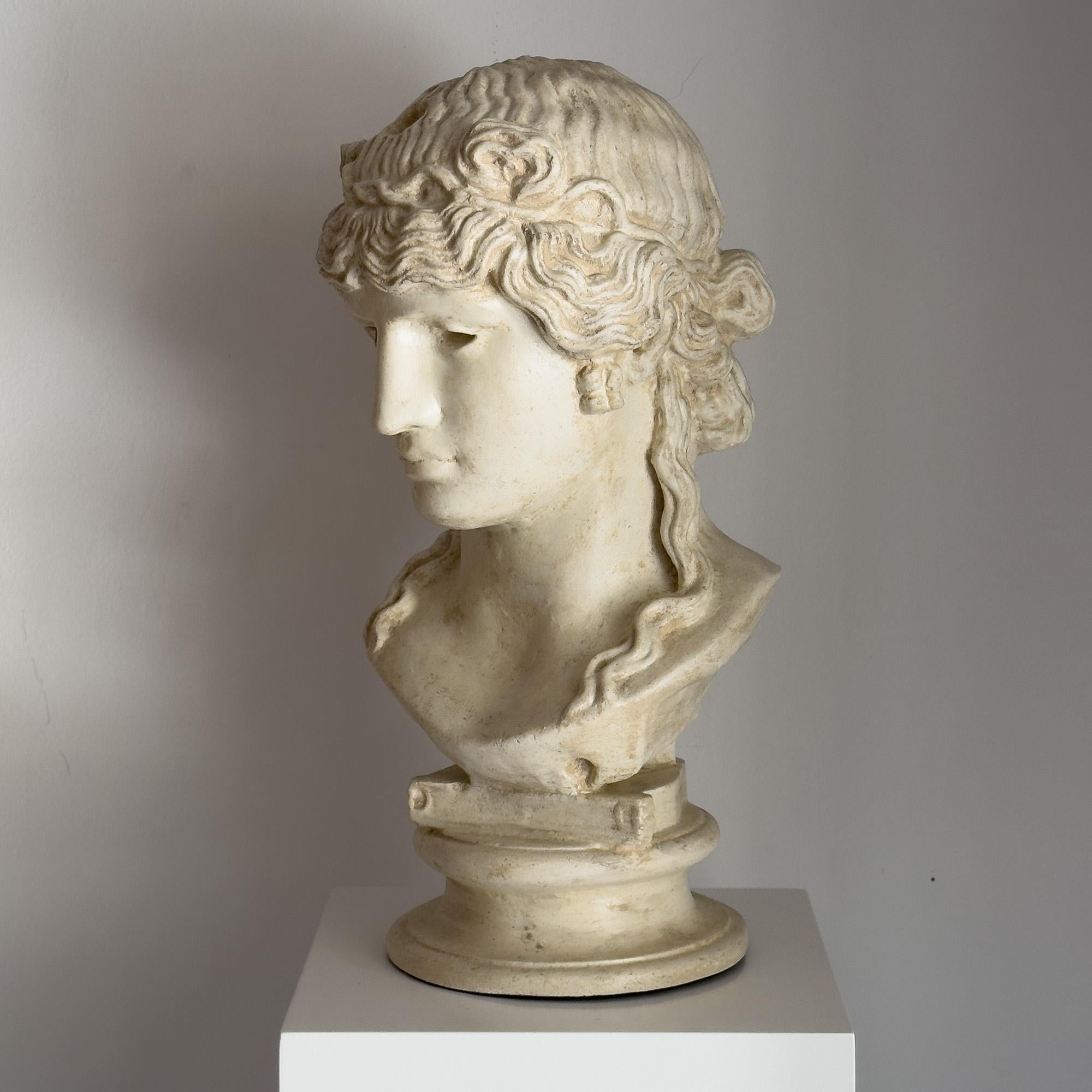 Bust of Antinoos in the style of classical Rome In Excellent Condition For Sale In Madrid, ES