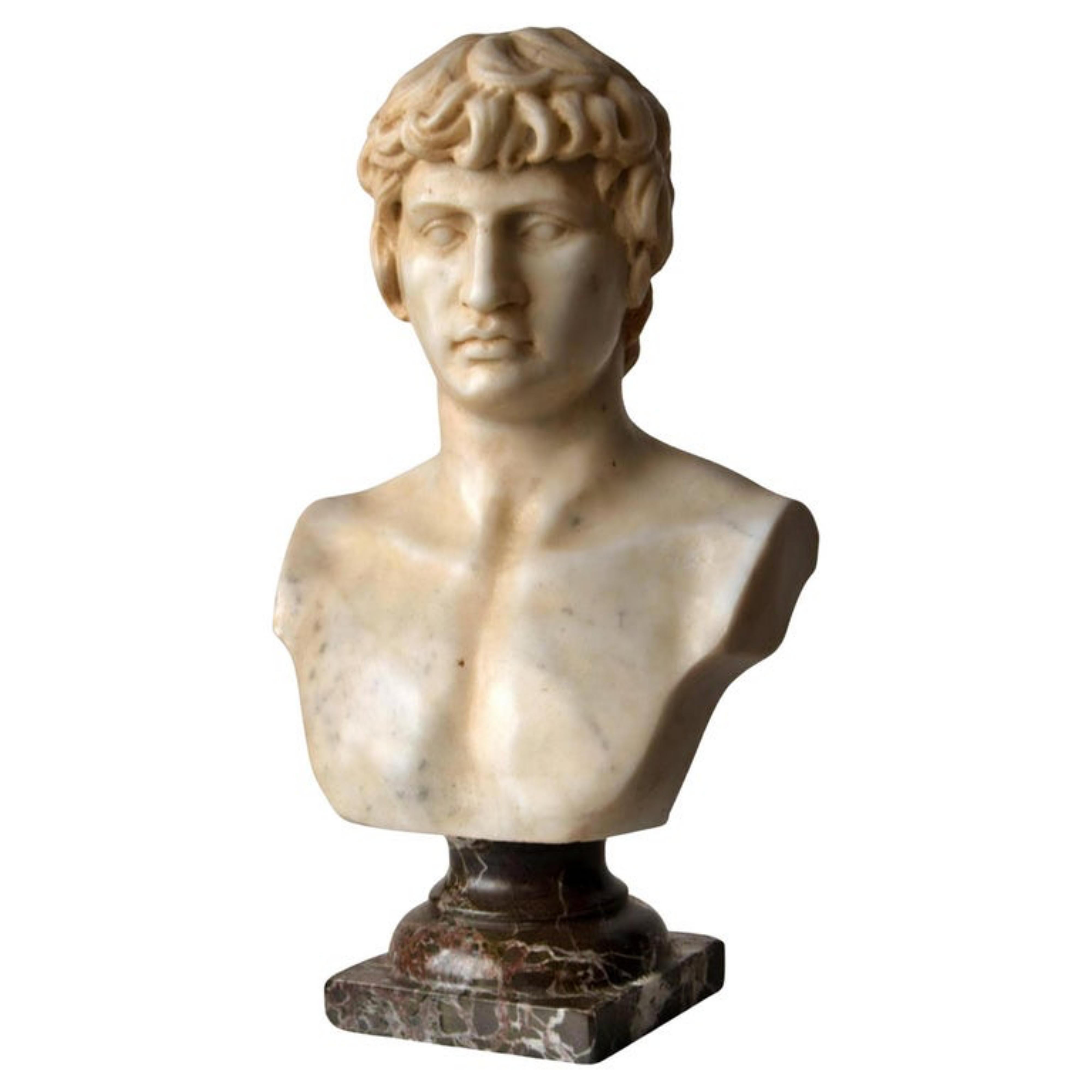 Bust of Antinous Carved on White Carrara Marble, Early 20th Century For Sale 4