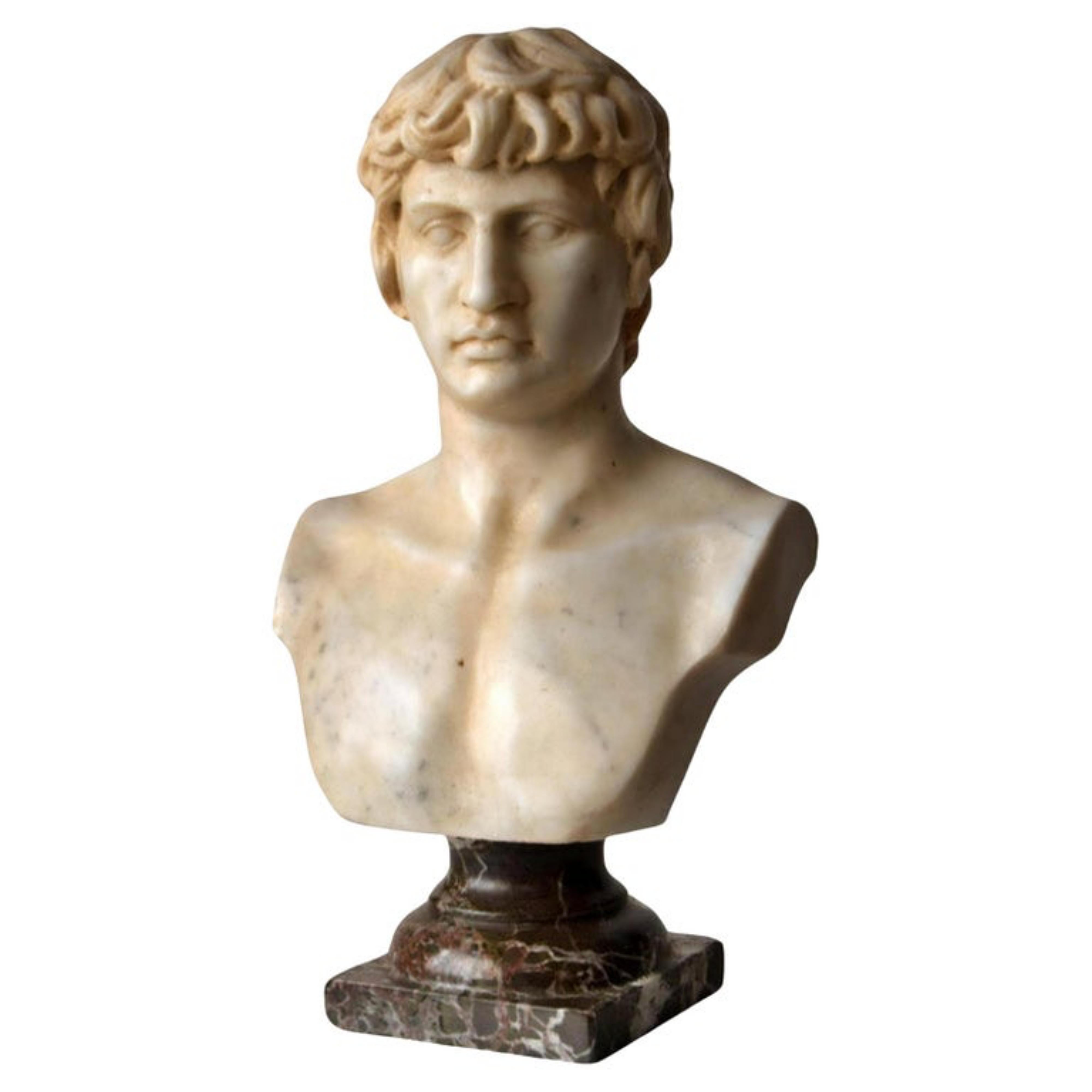 Busto di Antinoo scolpito su marmo bianco di Carrara all'inizio del XX secolo.
Posizionato su una base tornita in marmo rosso di Levanzo.
Misure: 35 x 20 x 12 cm.
Condizioni perfette per l'età.