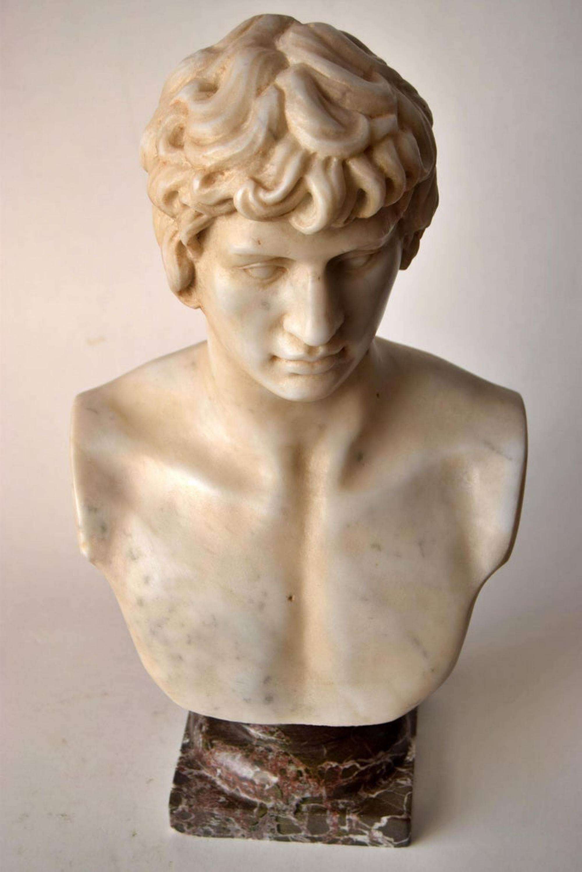 Baroque Bust of Antinous Carved on White Carrara Marble, Early 20th Century For Sale