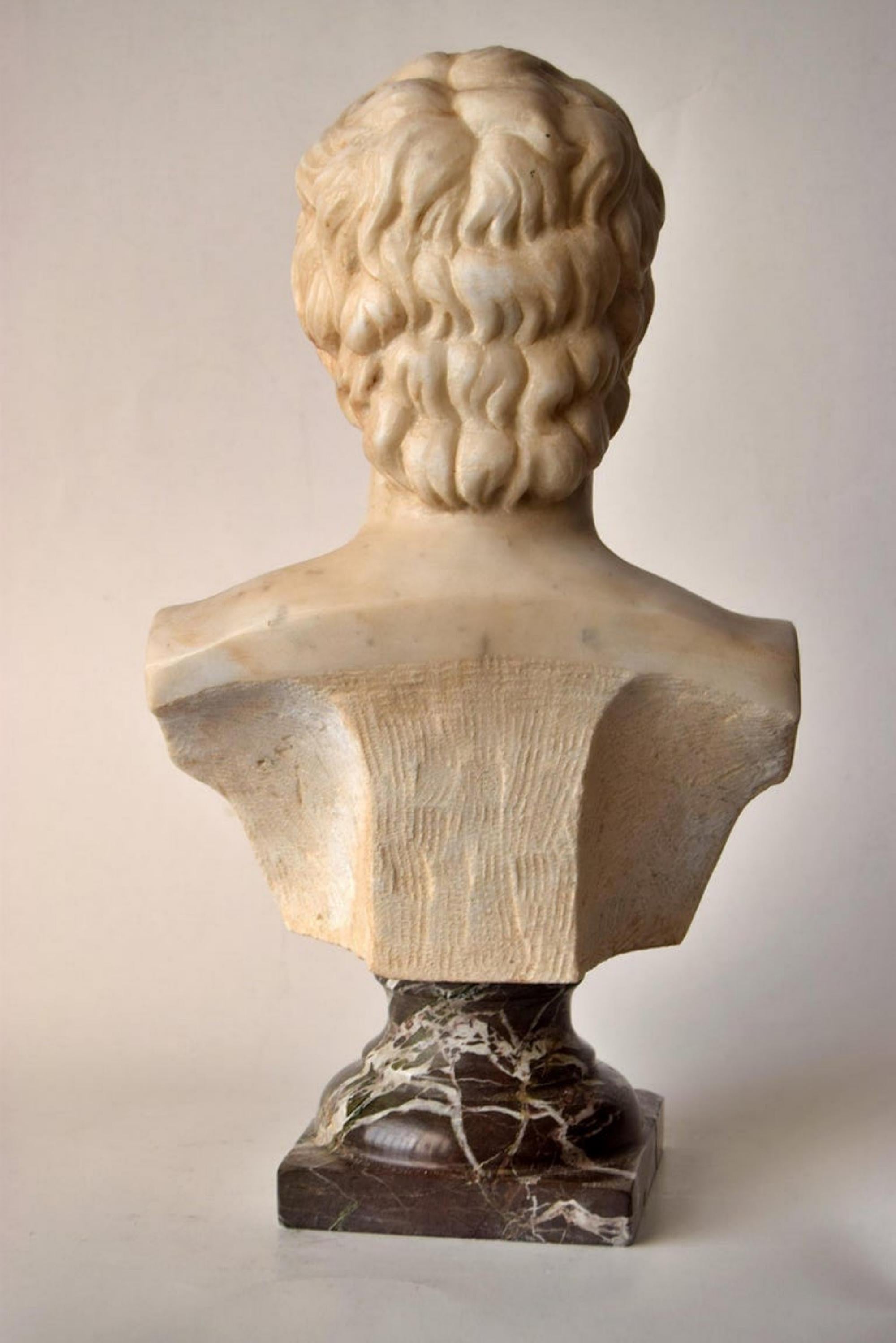 Italian Bust of Antinous Carved on White Carrara Marble, Early 20th Century For Sale