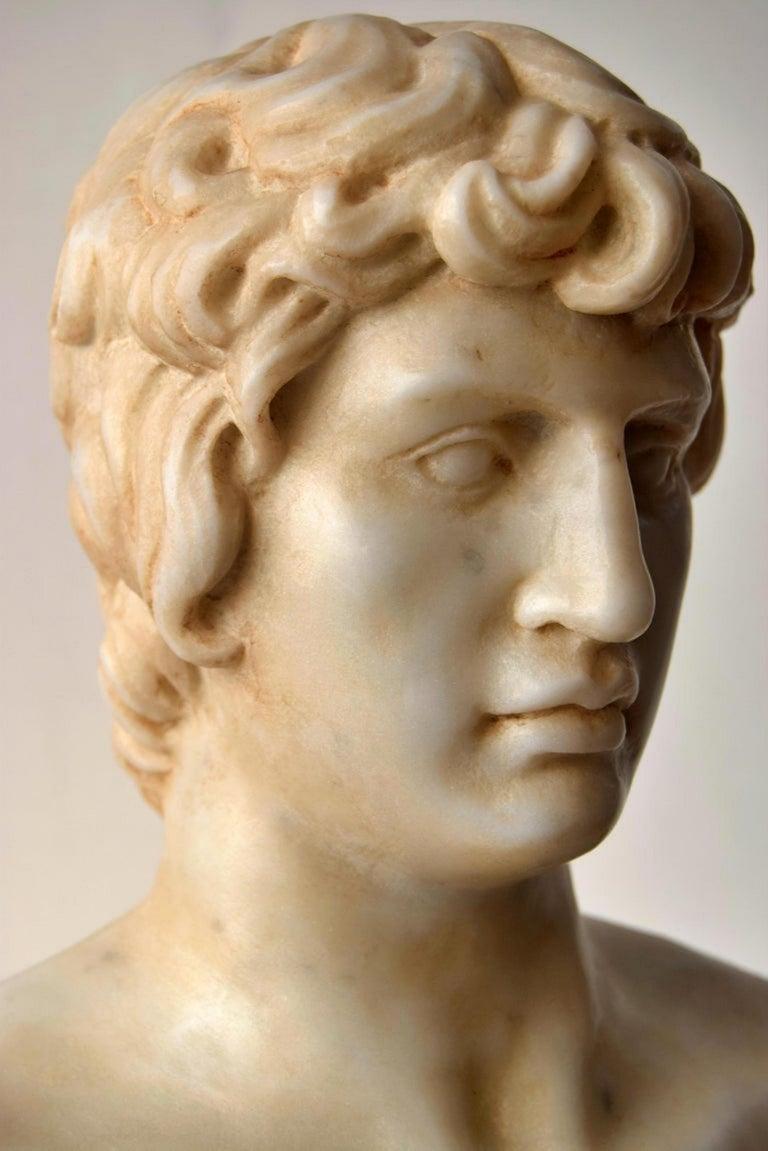 Italiano Busto di Antinoo scolpito su marmo bianco di Carrara, inizio XX secolo in vendita