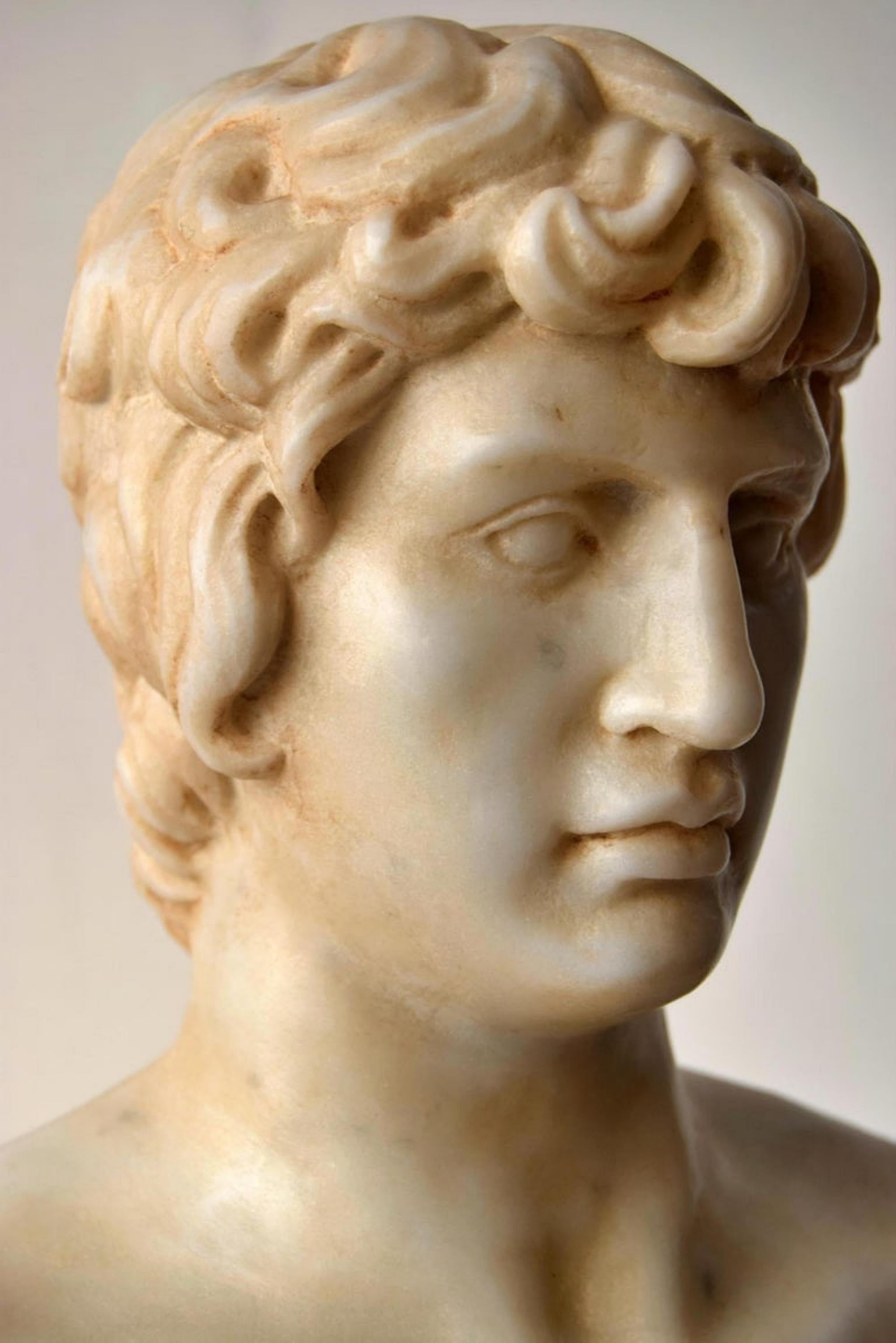 Hand-Crafted Bust of Antinous Carved on White Carrara Marble, Early 20th Century For Sale