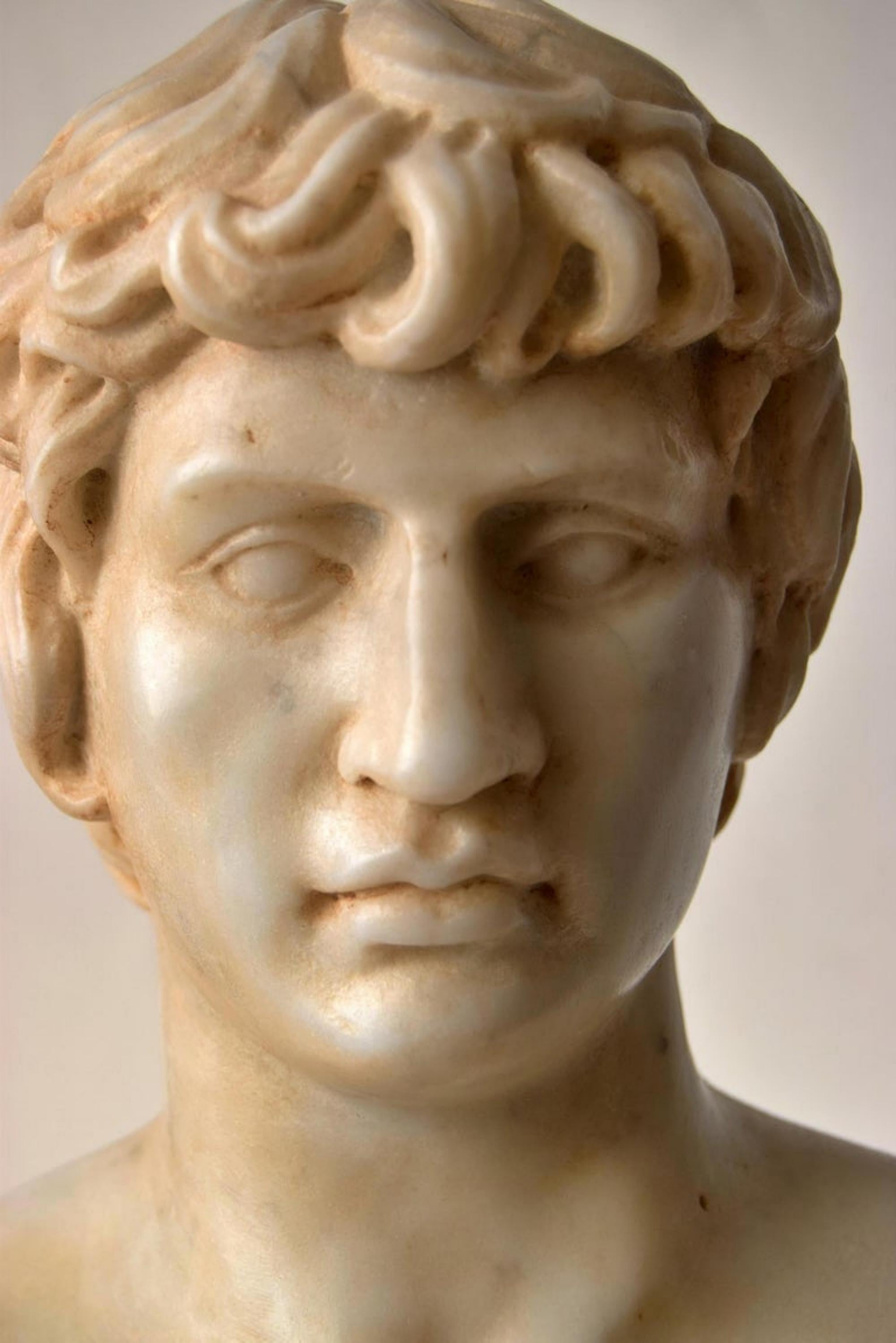 Bust of Antinous Carved on White Carrara Marble, Early 20th Century In Good Condition For Sale In Madrid, ES