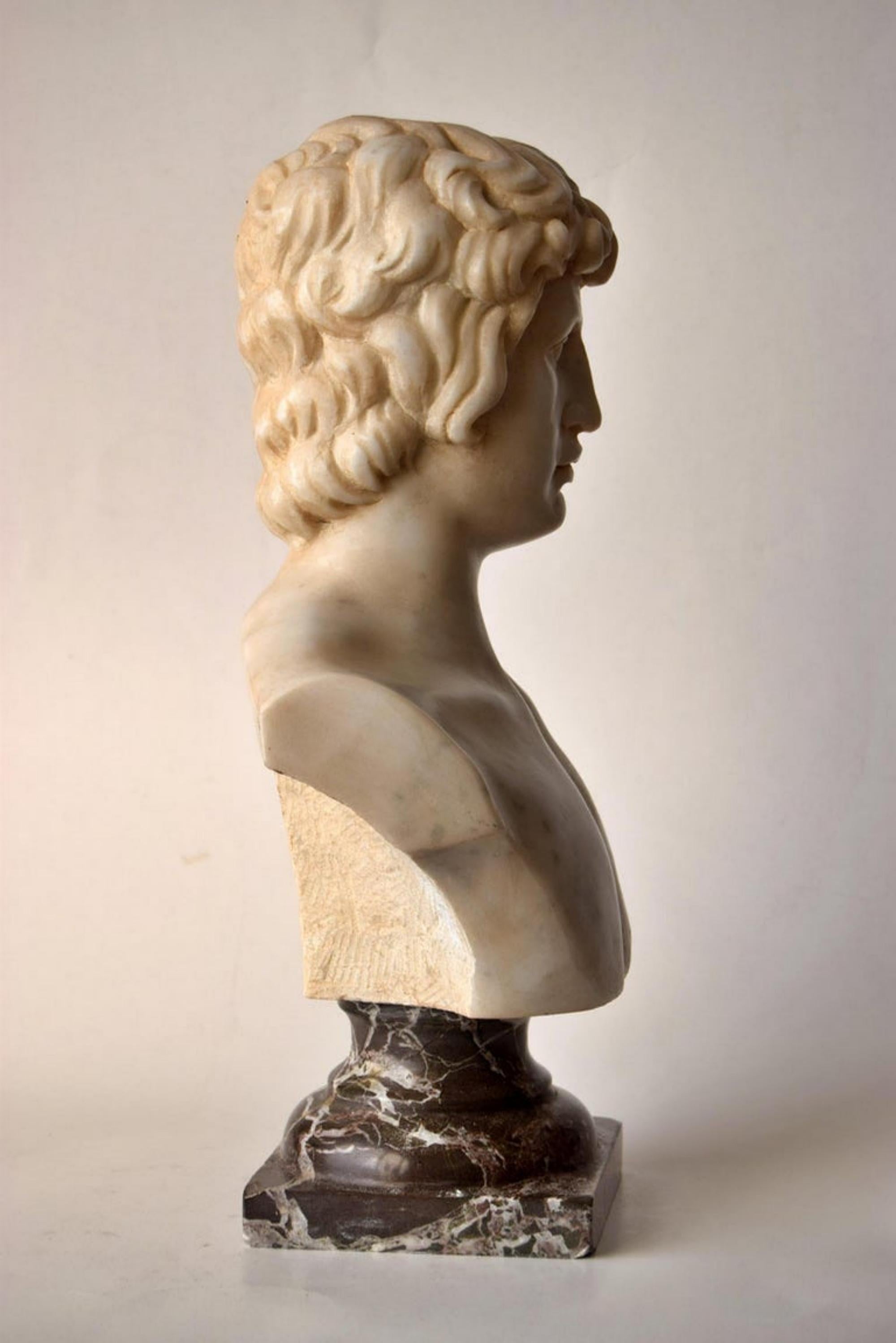 Bust of Antinous Carved on White Carrara Marble, Early 20th Century For Sale 1