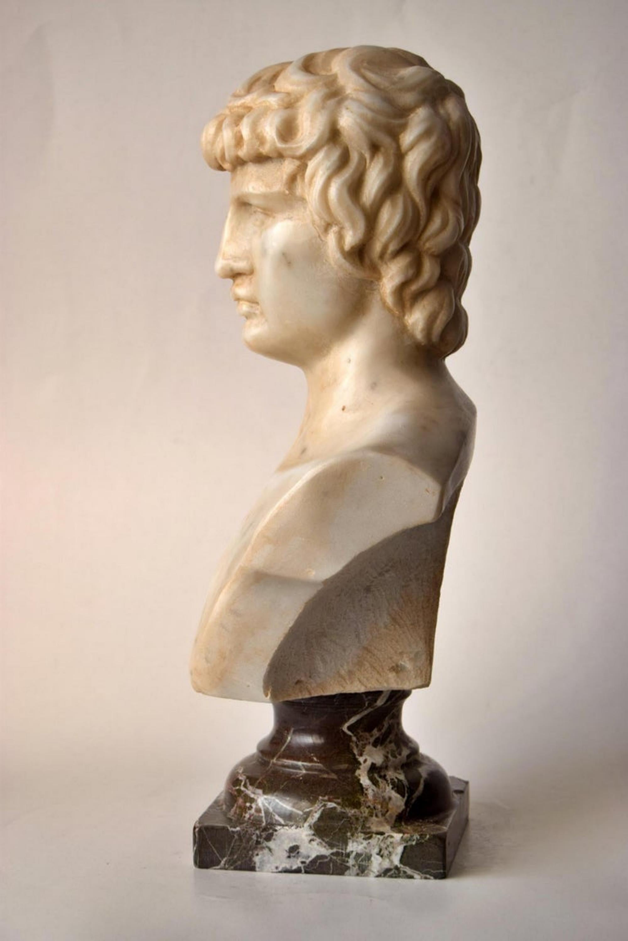 Bust of Antinous Carved on White Carrara Marble, Early 20th Century For Sale 2