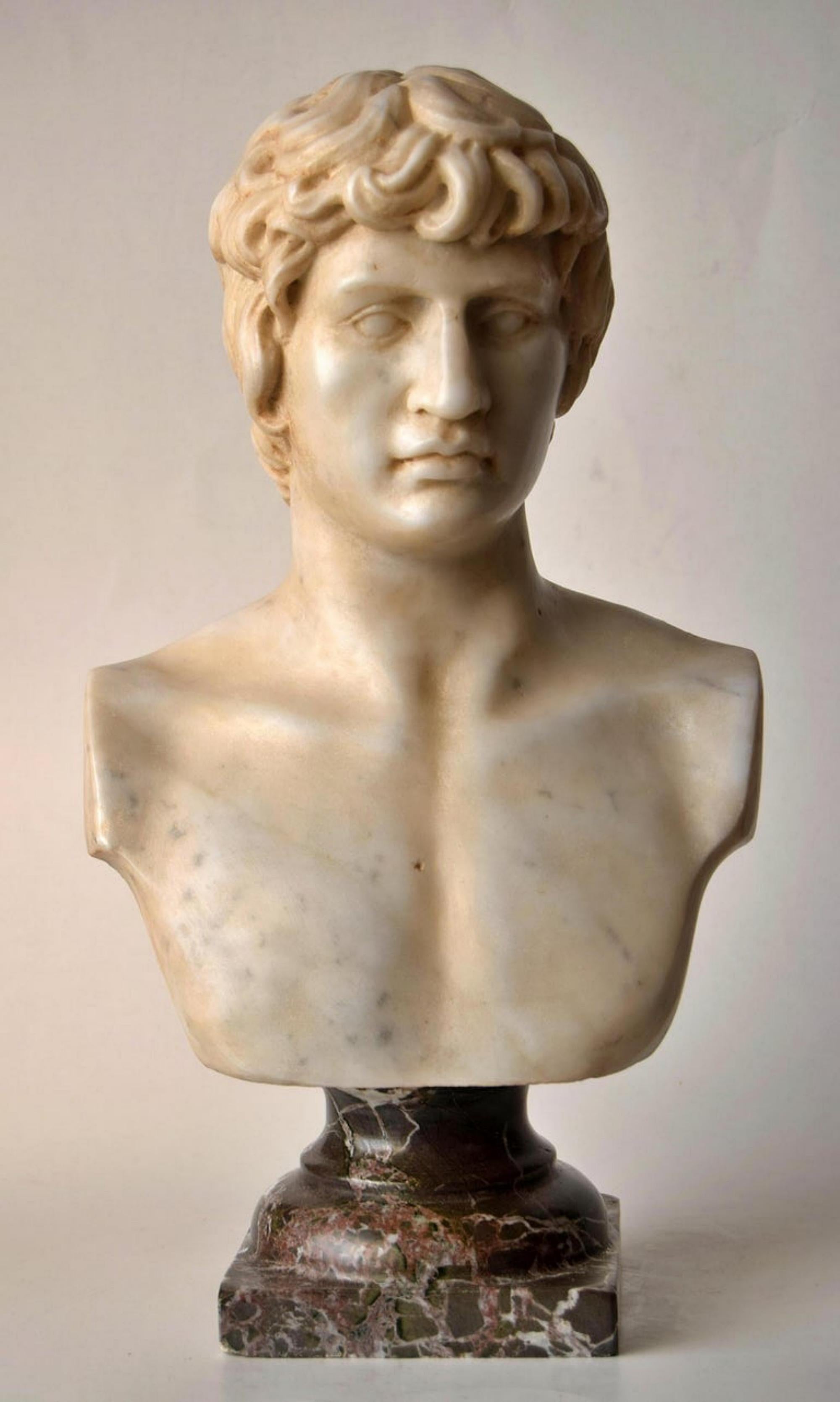 Bust of Antinous Carved on White Carrara Marble, Early 20th Century For Sale 3