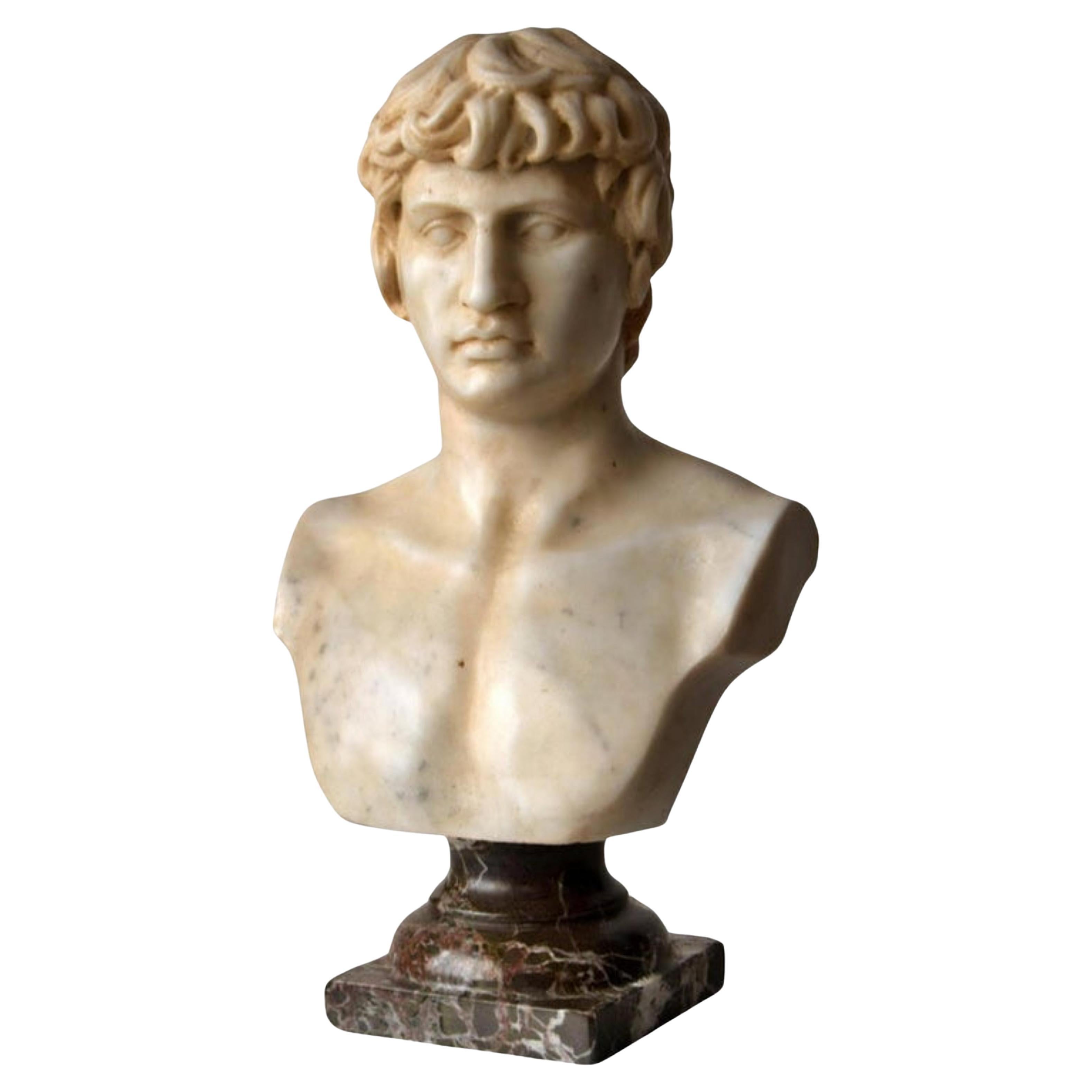 Bust of Antinous Carved on White Carrara Marble, Early 20th Century