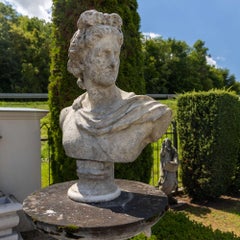 Buste d'Apollo Belvedere en granit, XIXe siècle