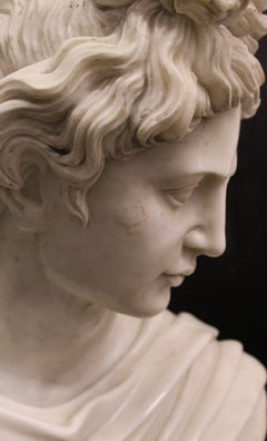 Bust of Apollo in statuary white marble, 20th cent