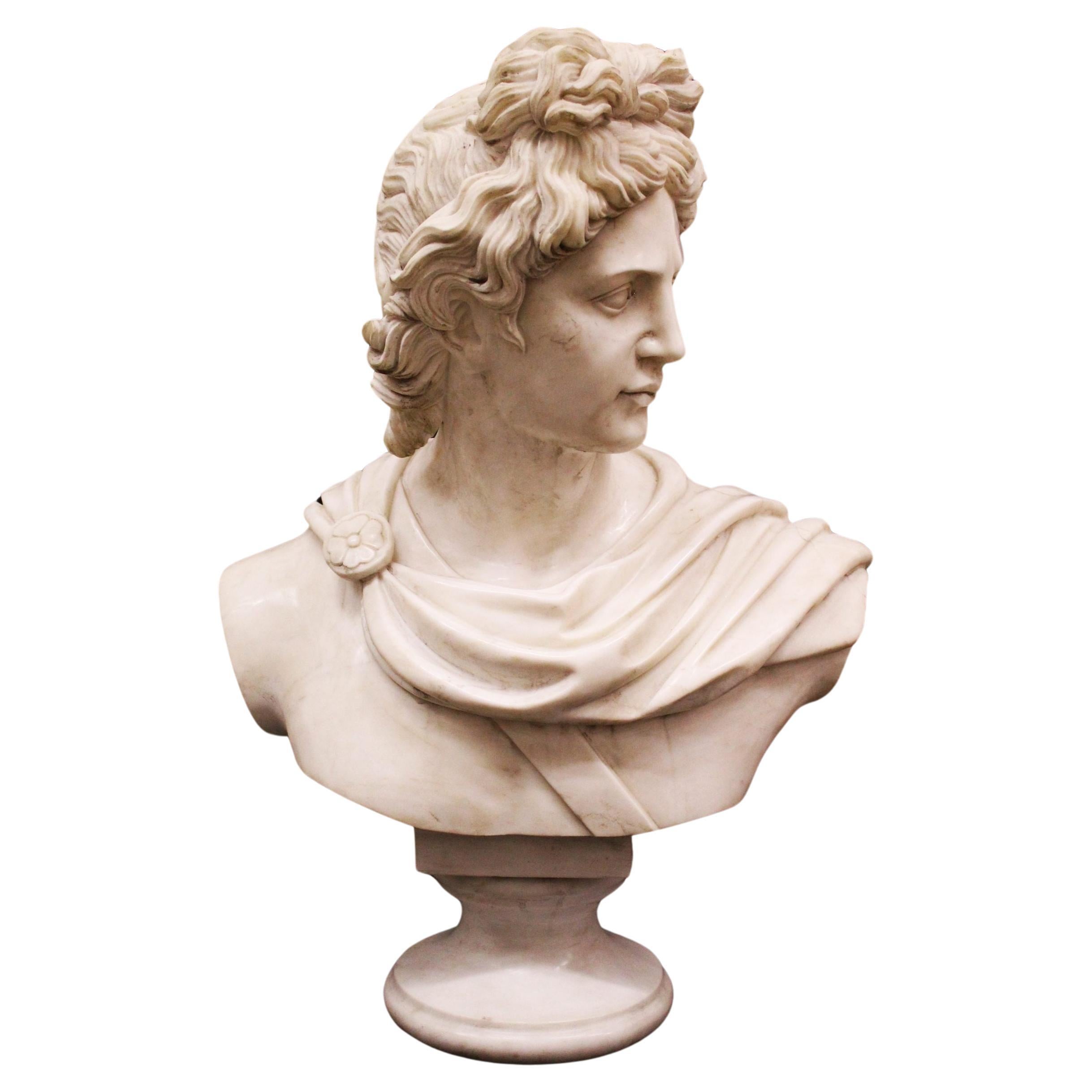 Bust of Apollo in statuary white marble, 20th cent