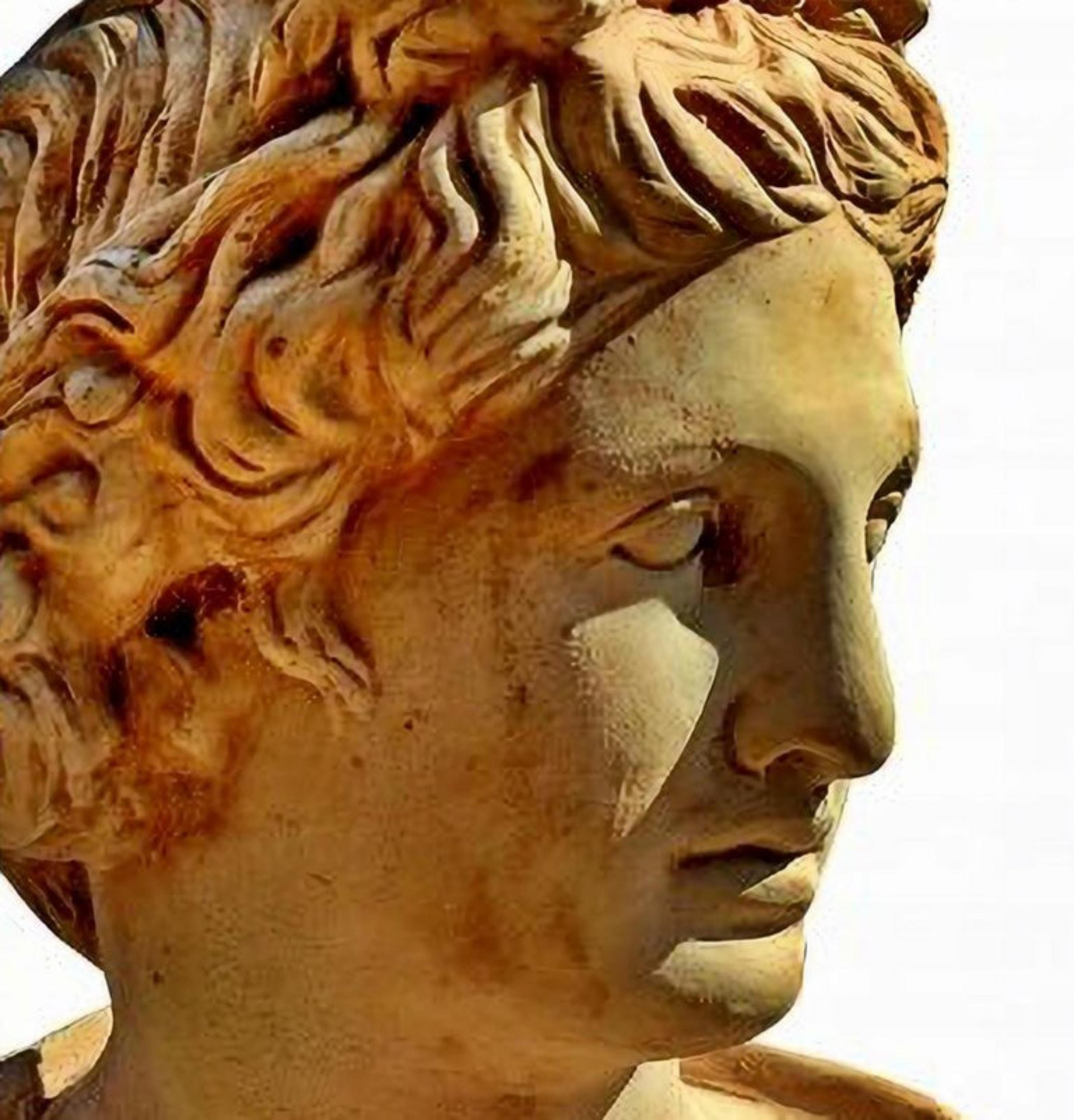 Bust of Apollo in terracotta 