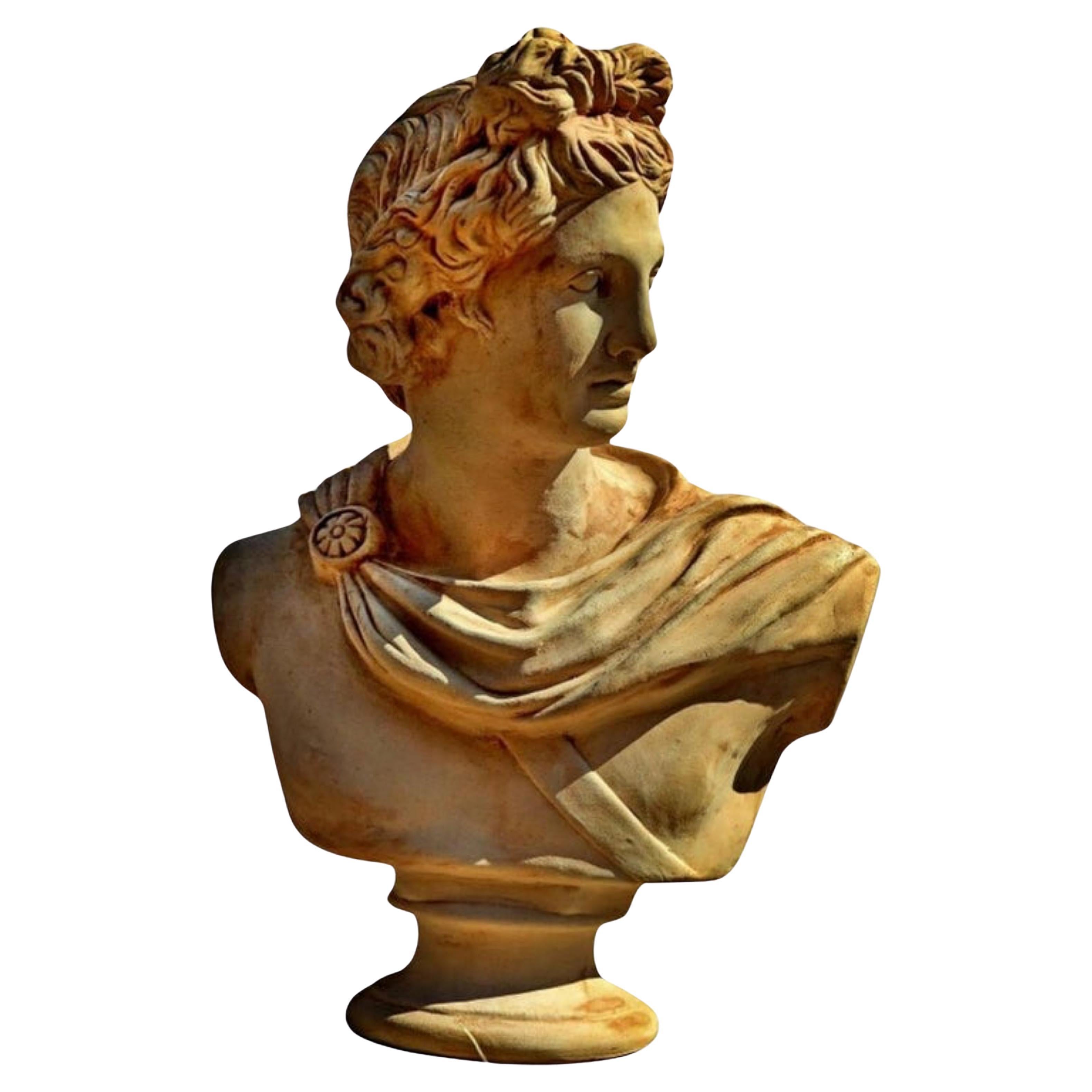 Bust of Apollo in Terracotta "Apollo Del Belvedere" Apollo Pitico, Early 20th C.